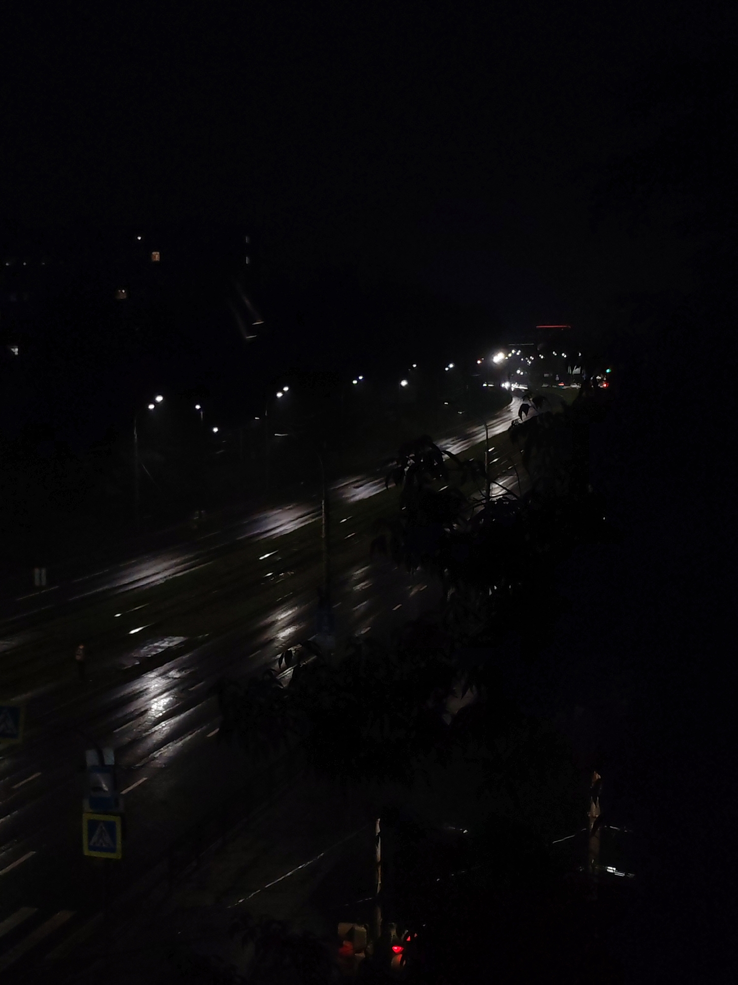 The image depicts a nighttime scene of a wet road in Izhevsk, Russia. A street with multiple lanes is illuminated by streetlights. There are pedestrian crosswalk signs on the left side of the road. The road has reflections from the rain. Trees and bushes are visible in the foreground, adding to the darkness on the right side of the image. In the distance, car headlights and the red glow of taillights indicate moving vehicles.