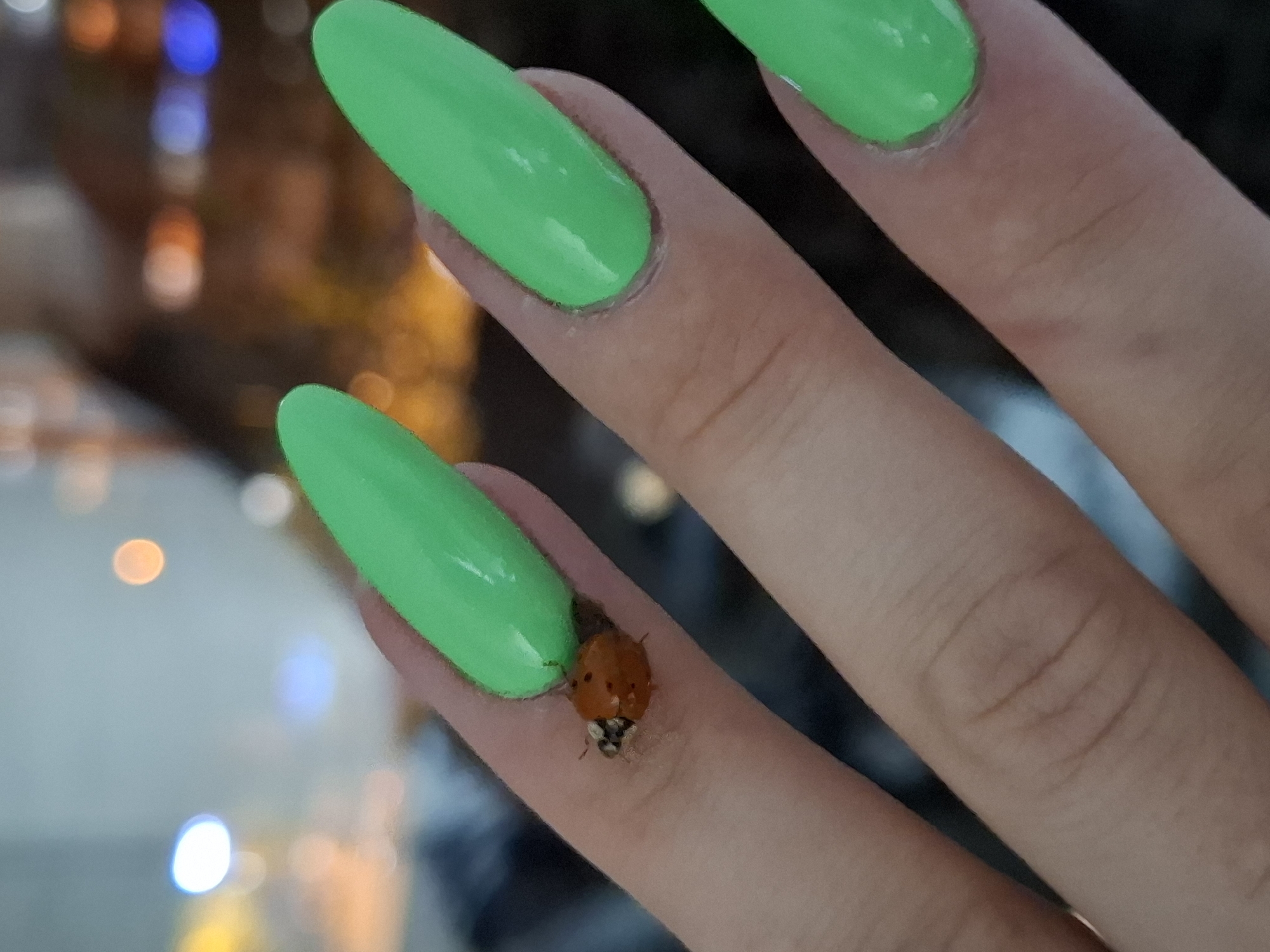 A close-up shot depicts a human hand with long, bright green fingernails. A small, orange ladybug rests on the finger with the closest fingernail. The background is softly blurred, featuring indistinct lights, possibly suggesting an urban environment. Given the instruction about Novi Sad, Serbia, the location is assumed to be there, though the image itself lacks specific details to confirm it.