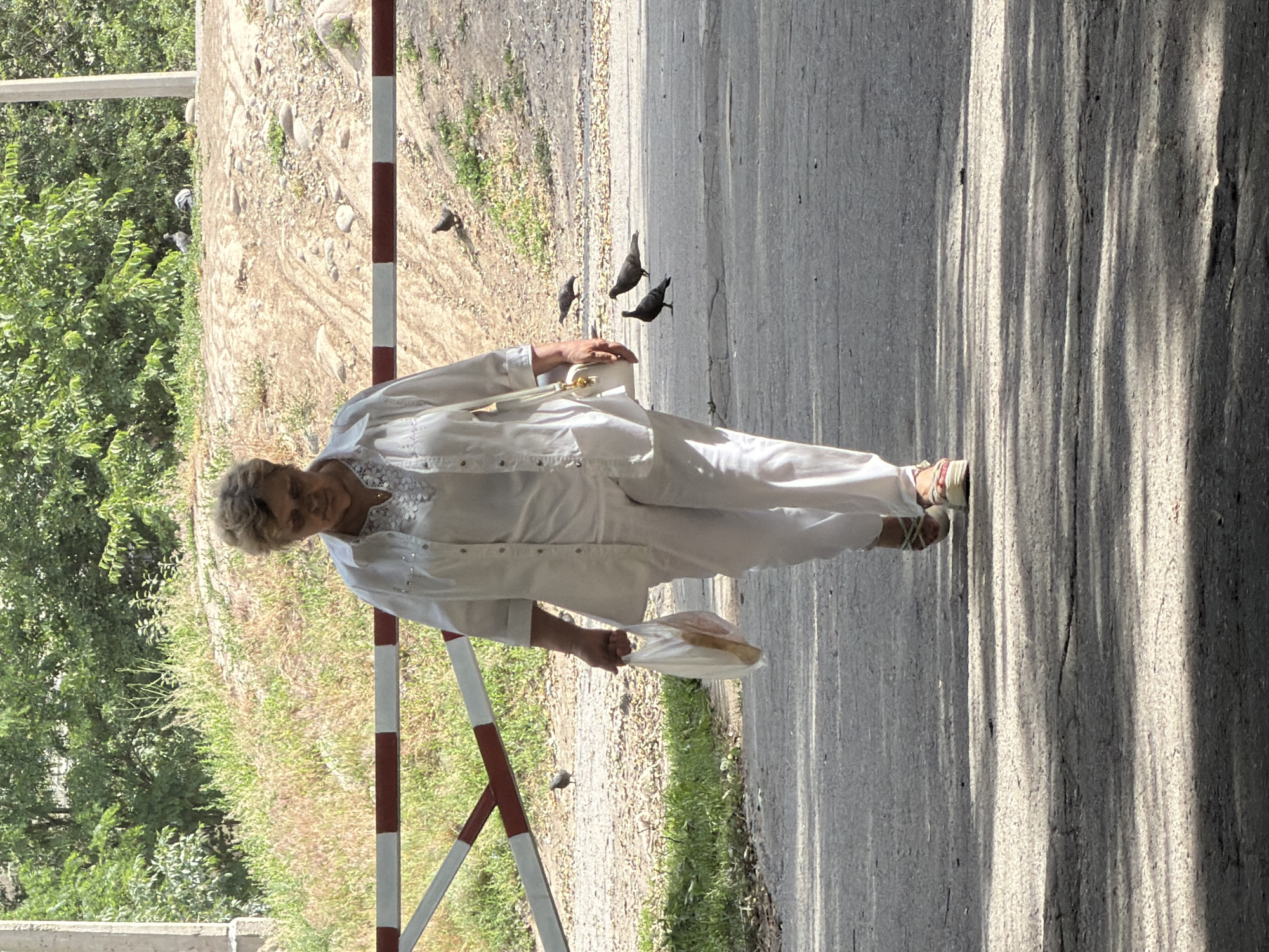 An adult woman, appearing to be in her 60s, walks towards the viewer on an asphalt path. She is wearing a white collared shirt with embellishments on the collar and cuffs, and loose white pants. Her hair is short and styled. She is holding a translucent plastic bag containing what appears to be food in her left hand and a small white purse is slung over her right shoulder. She is wearing sandals.
Behind her, a red and white striped barrier extends across the scene, suggesting a restricted area or entrance. The ground behind the barrier is rough and sloped, with patches of grass and dirt. Several pigeons are scattered on the ground in the background and foreground, with one bird in flight near the barrier. Lush green trees and foliage form a backdrop to the scene, with the sky not visible. The lighting suggests a sunny day. The location is an outdoor area, possibly on the outskirts of a city.