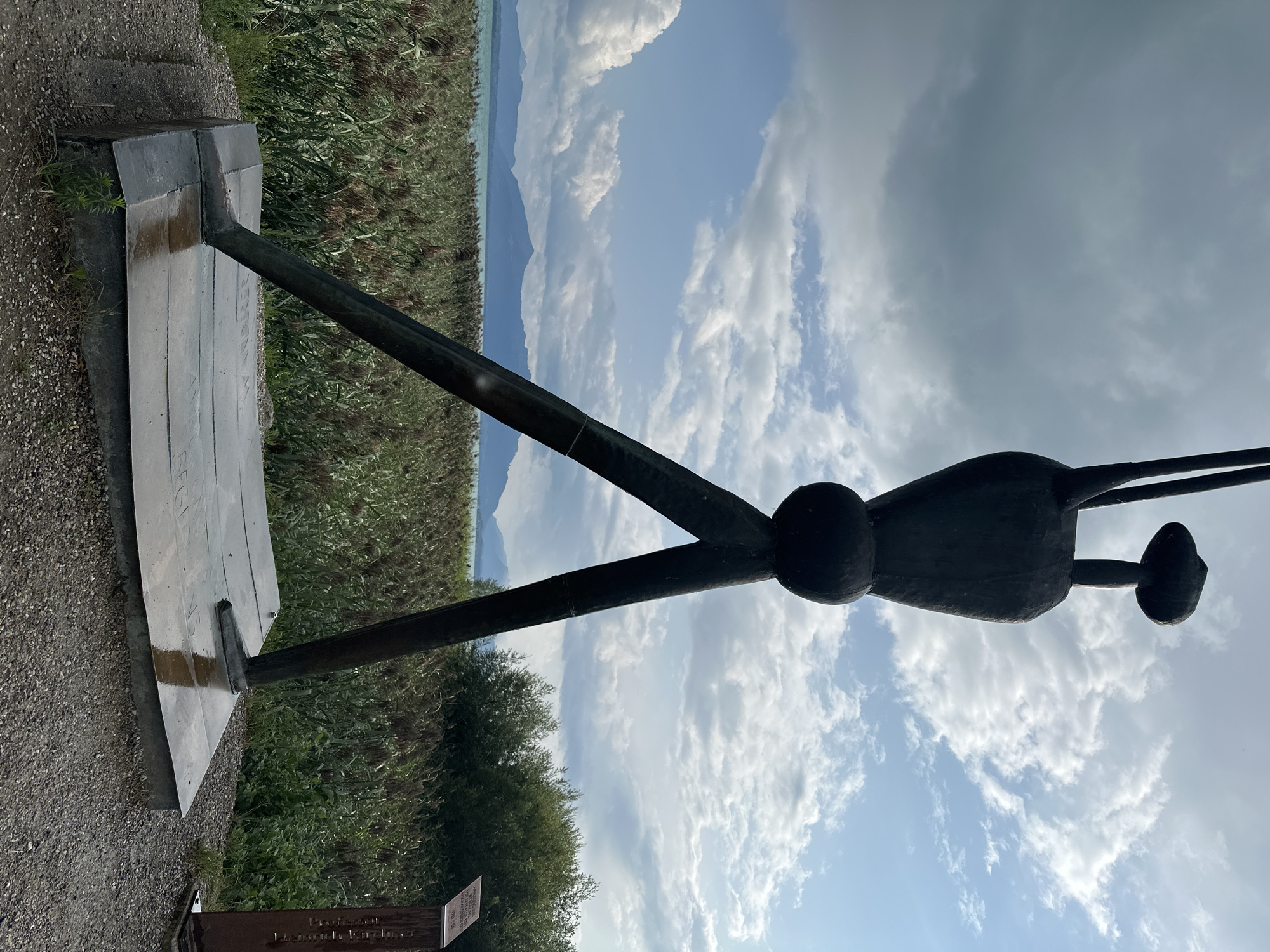 A low-angle shot features a tall, dark, abstract sculpture of a human-like figure standing on a rectangular, metal base. The sculpture has large, angled legs, a rounded torso, and a mushroom-shaped head. The base is wet and reflects the sky, suggesting recent rain. Behind the sculpture, a wide expanse of tall, dry reeds stretches towards a body of water and a distant mountain range under a cloudy sky. To the right of the sculpture, a brown informational plaque is visible. The sculpture is located in Seeon-Seebruck, Germany.