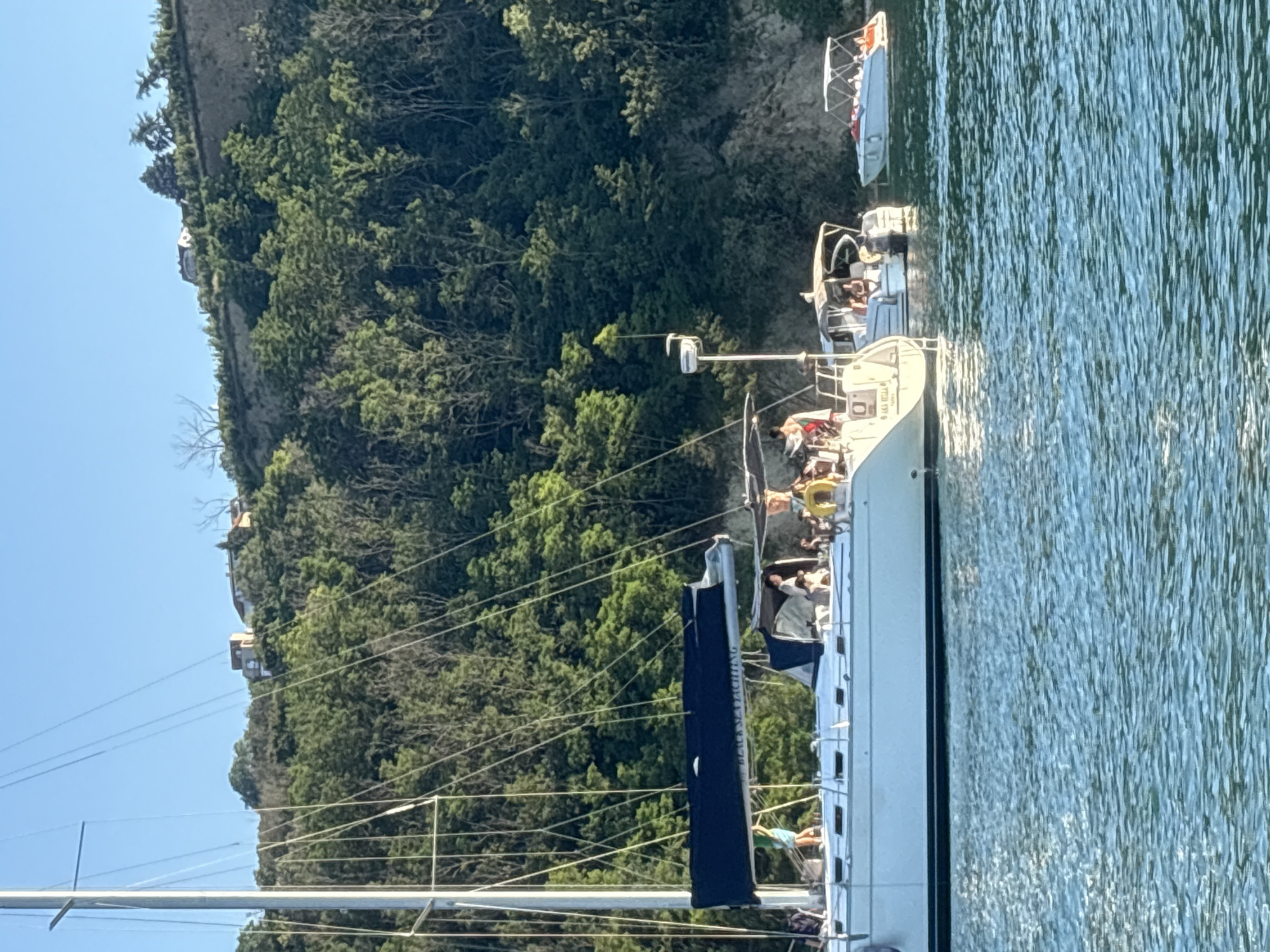 A group of people are gathered on a large white sailboat docked in a body of water. The sailboat has a black cover over its boom. Behind the sailboat, smaller boats are also visible, with people on them. The background features a steep, tree-covered hill with houses on top, under a clear blue sky. The water is choppy with a light blue-green hue.