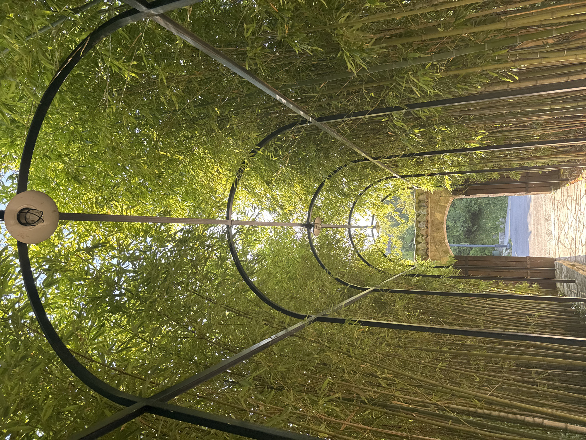 The image shows a pathway lined with bamboo trees, forming a natural archway. The pathway is paved with cobblestones and leads to an arched stone gate in the distance. The bamboo is lush and green, with sunlight filtering through the leaves. A single light fixture hangs from the metal structure supporting the bamboo. The scene appears to be outdoors in a tranquil, possibly garden or park setting.