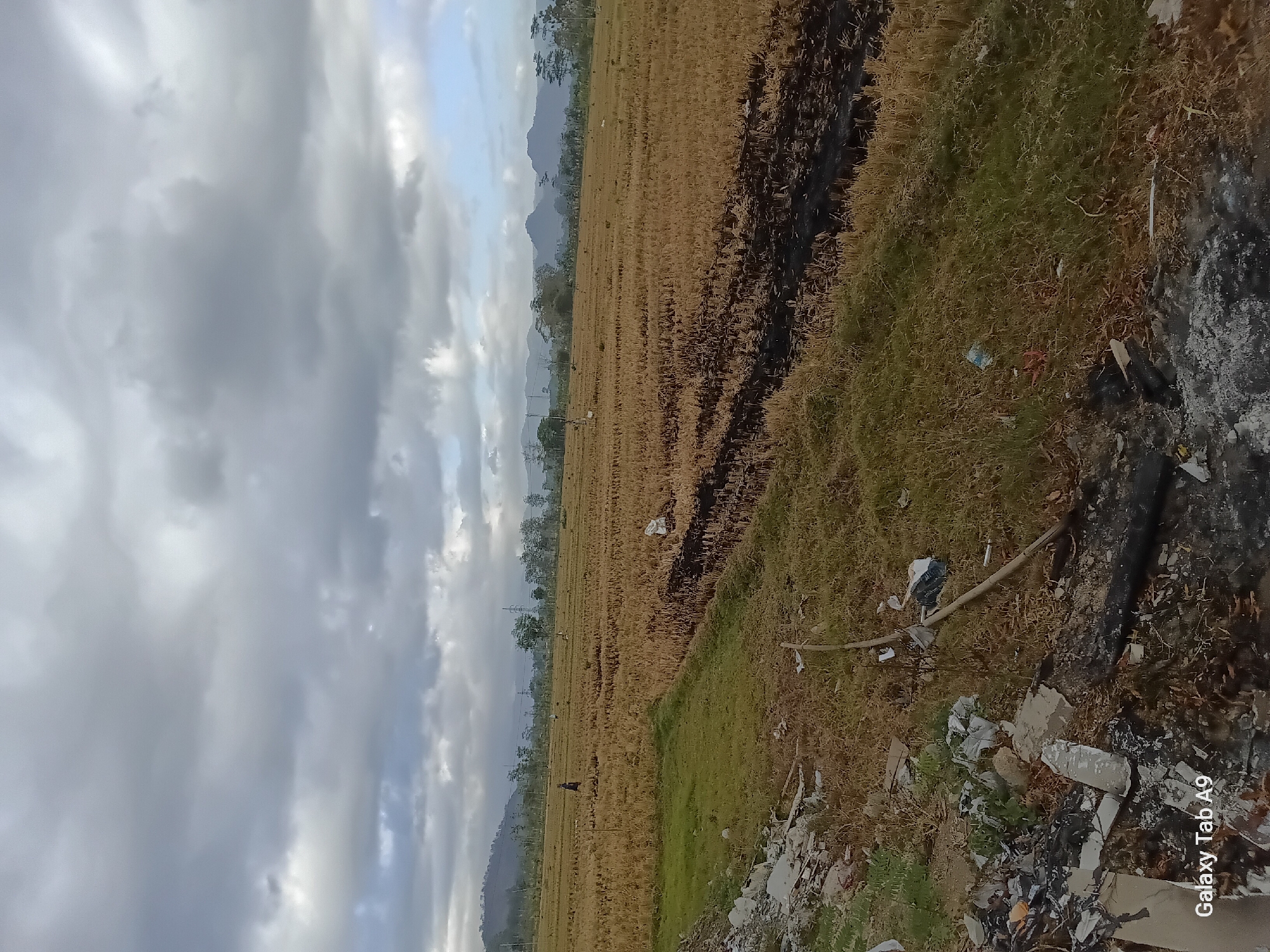 A low-angle, full shot captures a cloudy sky over a harvested rice field in Bendorejo, Indonesia. The field, mostly dry stubble, shows patches of black earth where the crop has been burned. A person is visible in the distance on the left, walking through the field. A second person is visible further in the distance on the right. In the foreground, to the left, is a pile of debris including white plastic and concrete. The terrain is flat, with hills and mountains in the background, partially obscured by trees and a transmission tower. The lighting suggests it is either early morning or late afternoon.