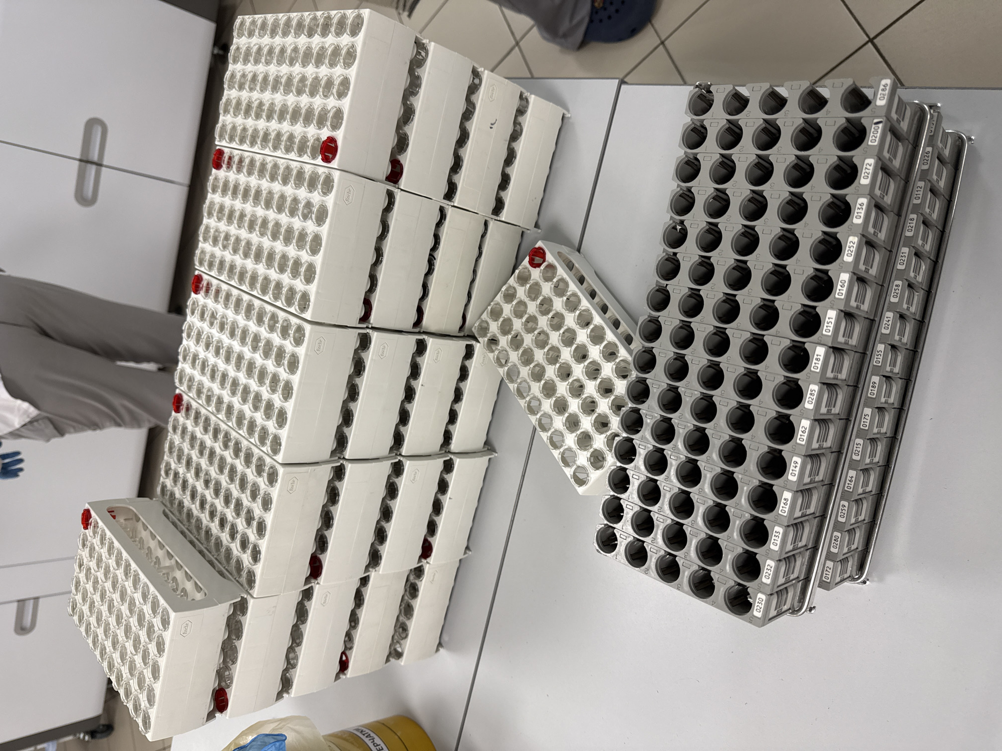 This photograph captures a busy laboratory or medical facility in Moscow, Russia, focusing on numerous racks of biological sample tubes. On the left, a large stack of white plastic racks holds rows of clear sample tubes, some with red caps visible. The "Roche" logo, indicating a healthcare company, is present on several white racks. Partially visible on the far left, a person wearing a lab coat and blue gloves suggests human activity in the scene, while another person's legs wearing dark blue clogs are visible in the background.
To the right, a large stack of gray racks contains dark-colored sample tubes. These gray racks feature intricate labels with numerical identifiers like "0230", "0168", "0252", "0272", "0172", "0215", "0226", "0200", and "9820", along with corresponding barcodes, implying a system for tracking and managing samples. Small numbers (2, 3, 4, 5) are also visible next to the tube slots on the gray racks, likely denoting positions. One gray rack appears partially inserted into a white rack, suggesting a transition or integration point in a workflow. In the lower left, a yellow container is visible, bearing the Russian word "ЕРЧАТКИ", which translates to "gloves." The overall arrangement indicates a systematic process for handling and storing samples, typical of a clinical or research laboratory setting.