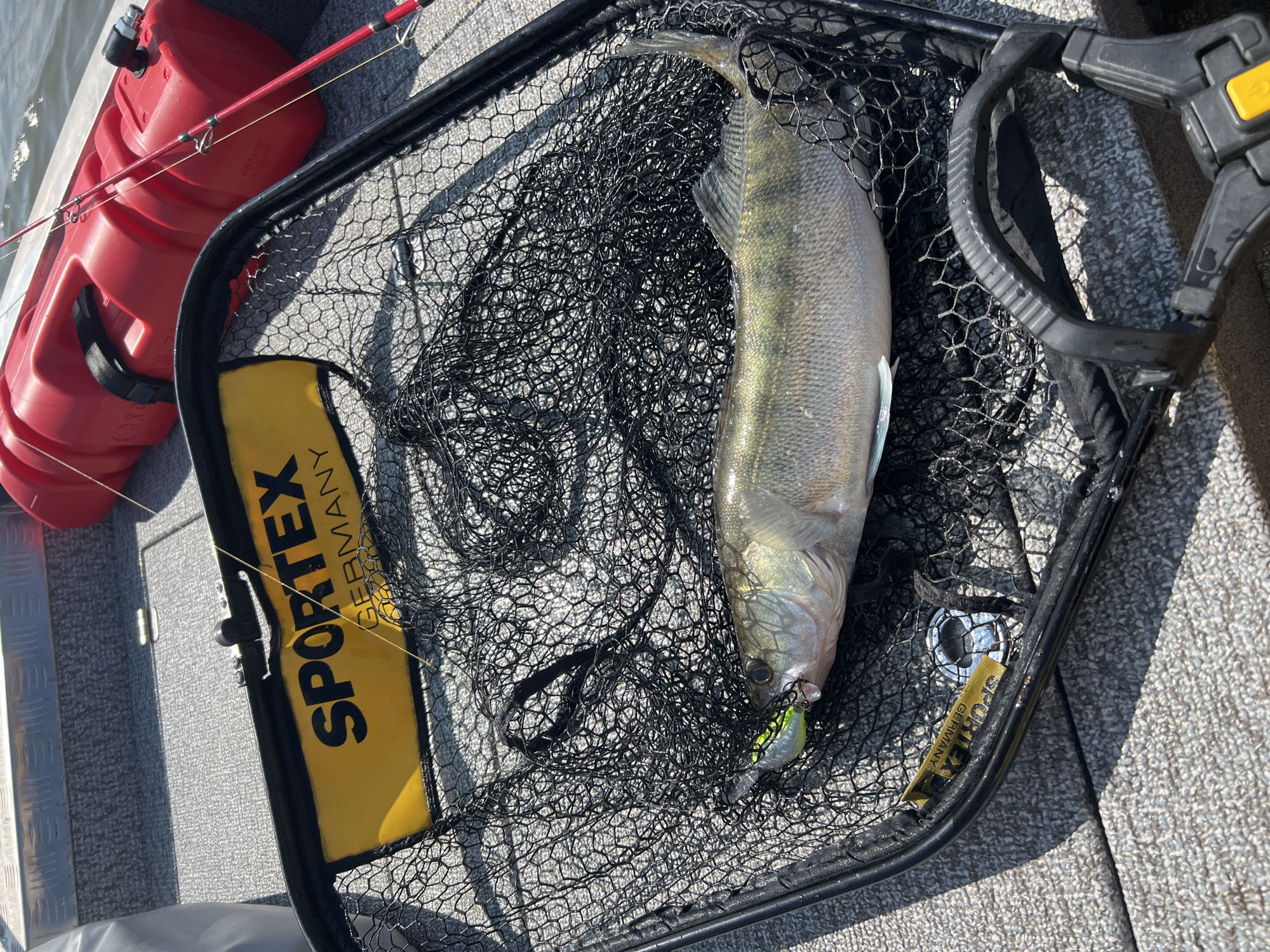 An overhead shot shows a fishing net containing a freshly caught fish and a fishing lure. The net is on a textured gray surface, presumably the floor of a boat. A red fuel canister and a fishing rod are visible in the background. The fish is pale with dark stripes and its mouth is open, showing the lure. The net has a yellow tag that reads "SPORTEX GERMANY". The scene appears to be on a sunny day. The location is not specified as Borovoye, Russia.