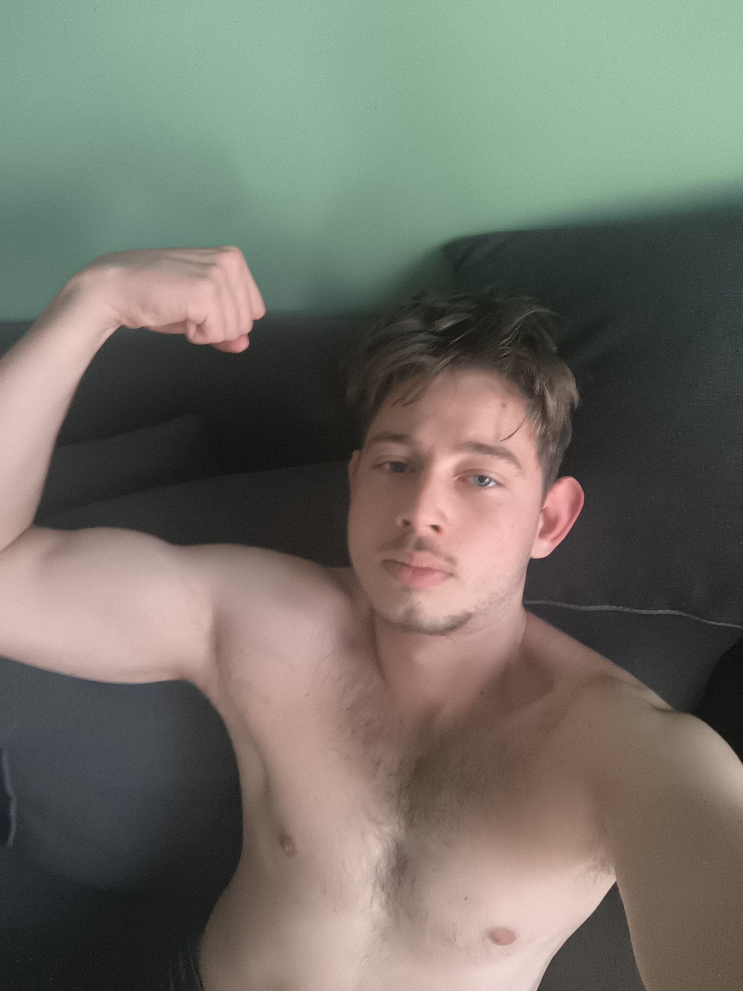 A young man with light skin, light brown hair, and blue eyes is captured in a close-up, chest-up selfie, posing shirtless indoors. He appears to be in his late teens or early twenties, with short, slightly messy hair and some light facial hair, including a mustache and a chin strap. He looks directly at the camera with a neutral expression, possibly a slight smirk, his lips slightly parted.
His left arm is raised and bent, with his fist clenched, flexing his bicep, indicating a pose of strength or confidence. His bare torso shows some body hair on his chest. He is positioned against a dark gray or black sofa or cushioned surface, which fills the lower and right portions of the background. Behind him, on the upper left side, is a plain, light green wall, suggesting a home environment.
The lighting is bright and even, likely natural daylight, illuminating his face and upper body. There are no visible signs of specific weather conditions. No text is visible in the image. The implied setting is a casual indoor space, potentially in Sofia, Bulgaria, as per the provided location context.