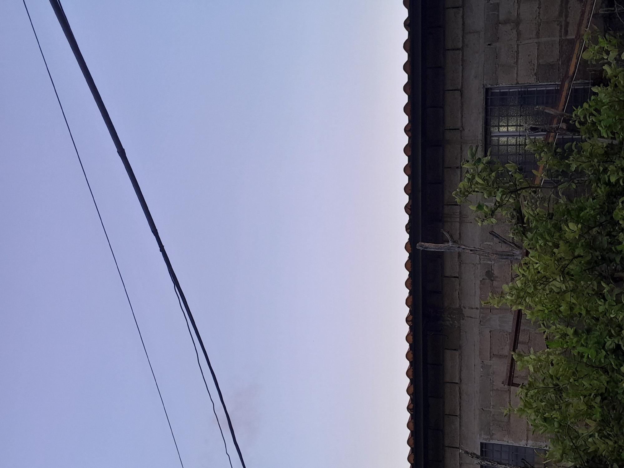 The image depicts a building with a corrugated roof and cinder block walls under a pale blue sky. Two power lines stretch across the sky. In front of the building, dense green foliage obscures the lower portion of the structure. One window with bars is visible on the right side of the building. The scene appears to be an exterior shot of a residential or commercial structure. The context of Santa Ana, Venezuela is not evident from the visual information provided.