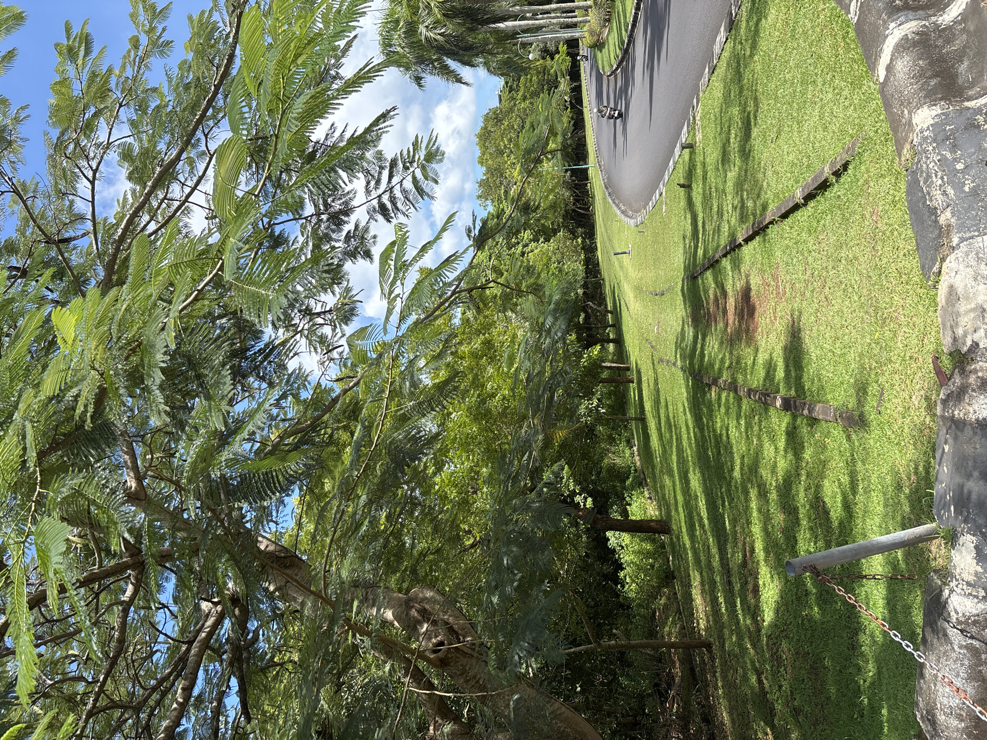 The image depicts a park or green space in Pecatu, Indonesia, characterized by lush greenery, trees, and a pathway. In the foreground, a large tree with distinctive, fern-like leaves dominates the left side of the frame, with glimpses of a blue sky and scattered clouds visible through the foliage.
To the right, a paved pathway curves along the edge of a grassy area. The pathway appears to be used by at least two individuals on scooters. The green space is marked by evenly spaced wooden blocks or dividers, creating a sense of order along the path's edge. The sunlight casts shadows from the trees onto the grass. In the lower right corner, a concrete structure with a metal pipe and chain is visible. The overall scene suggests a peaceful, natural environment.