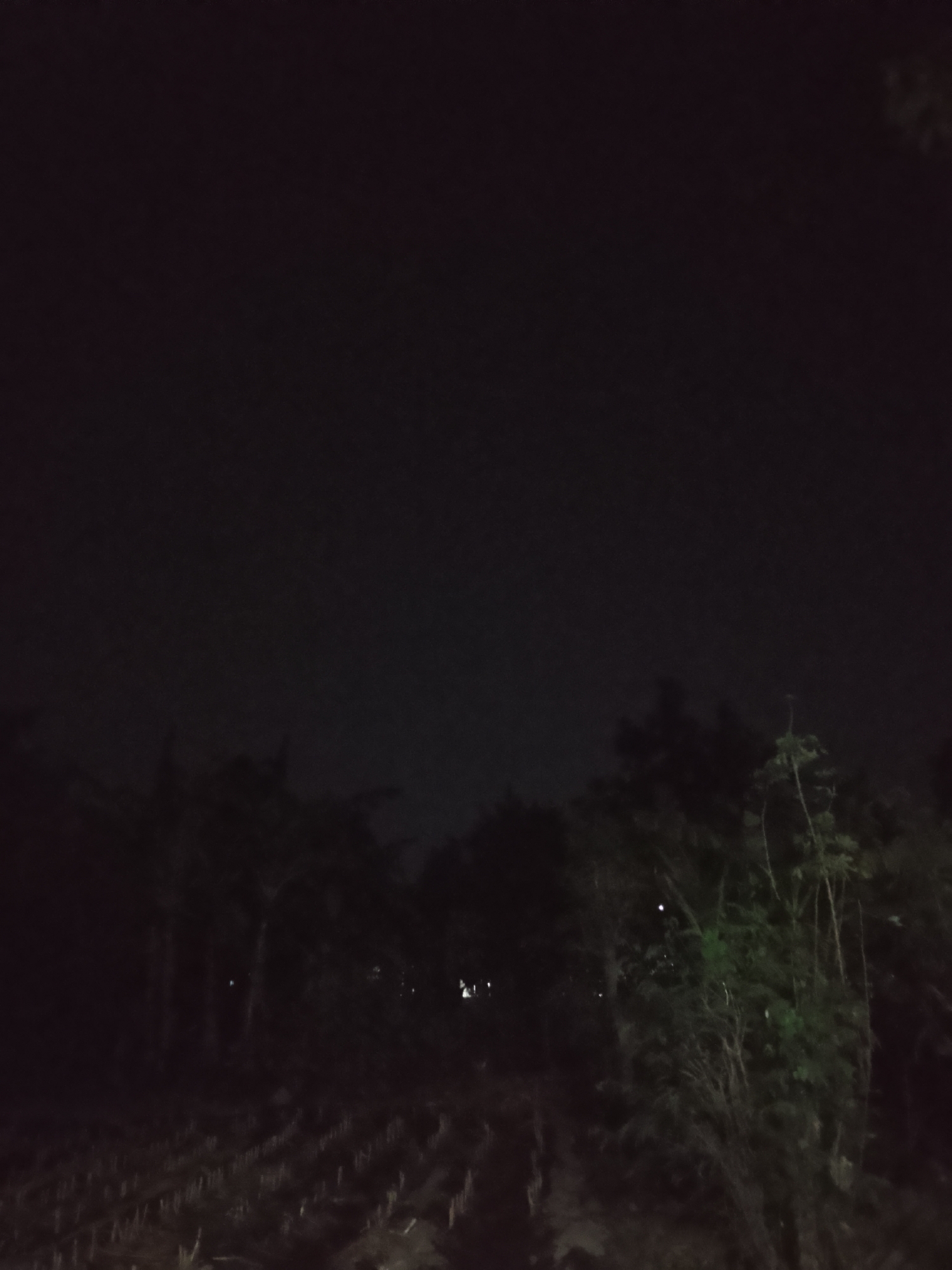 The image is a nighttime photograph taken in an outdoor environment that appears to be a rural or semi-rural area. The sky is dark, suggesting it is nighttime, and there are no visible stars or moon. The foreground of the image shows a field with rows of stubble, indicating it may be a harvested agricultural area.
Behind the field, there is a dense growth of trees and vegetation. The foliage is dark and somewhat indistinct due to the low light conditions. Some faint lights are visible in the distance, possibly from houses or streetlights. The overall impression is one of a quiet, dark landscape.
Without further context or visible landmarks, it is not possible to determine the precise location within Kelurahan, Indonesia, or any specific details about people, objects, or actions occurring in the scene. The image captures a generic nocturnal landscape scene.