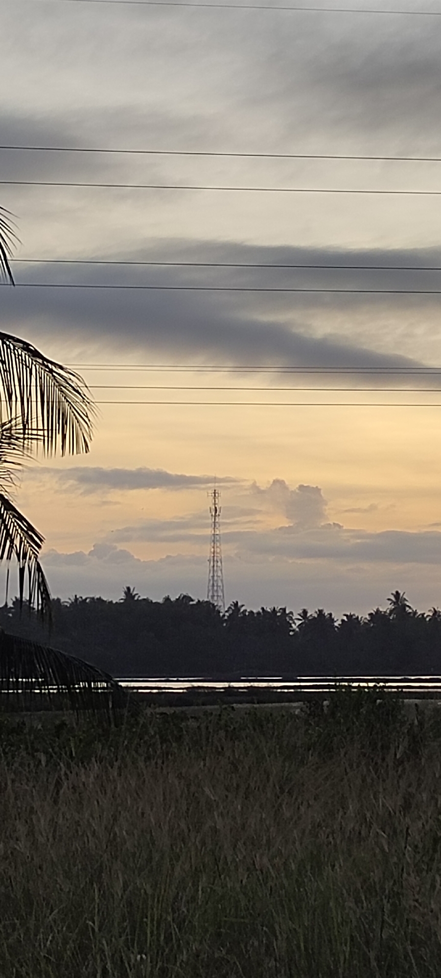 The image depicts a landscape scene at dusk or dawn, likely in Lhokseumawe, Indonesia, characterized by a tall telecommunications tower rising above a dense line of trees. The sky is filled with cloudy formations, with areas of soft orange and grey hues, suggesting the low angle of the sun. In the foreground, tall grasses are visible, partially obscuring a body of water that reflects the dim light. Palm fronds frame the left side of the image, indicating a tropical environment. The telecommunications tower appears to be a lattice structure, typical of those used for mobile network coverage. There are no people or animals clearly visible in the frame. The overall atmosphere is serene and natural, with the man-made tower standing out as a prominent man-made structure within the otherwise natural setting.