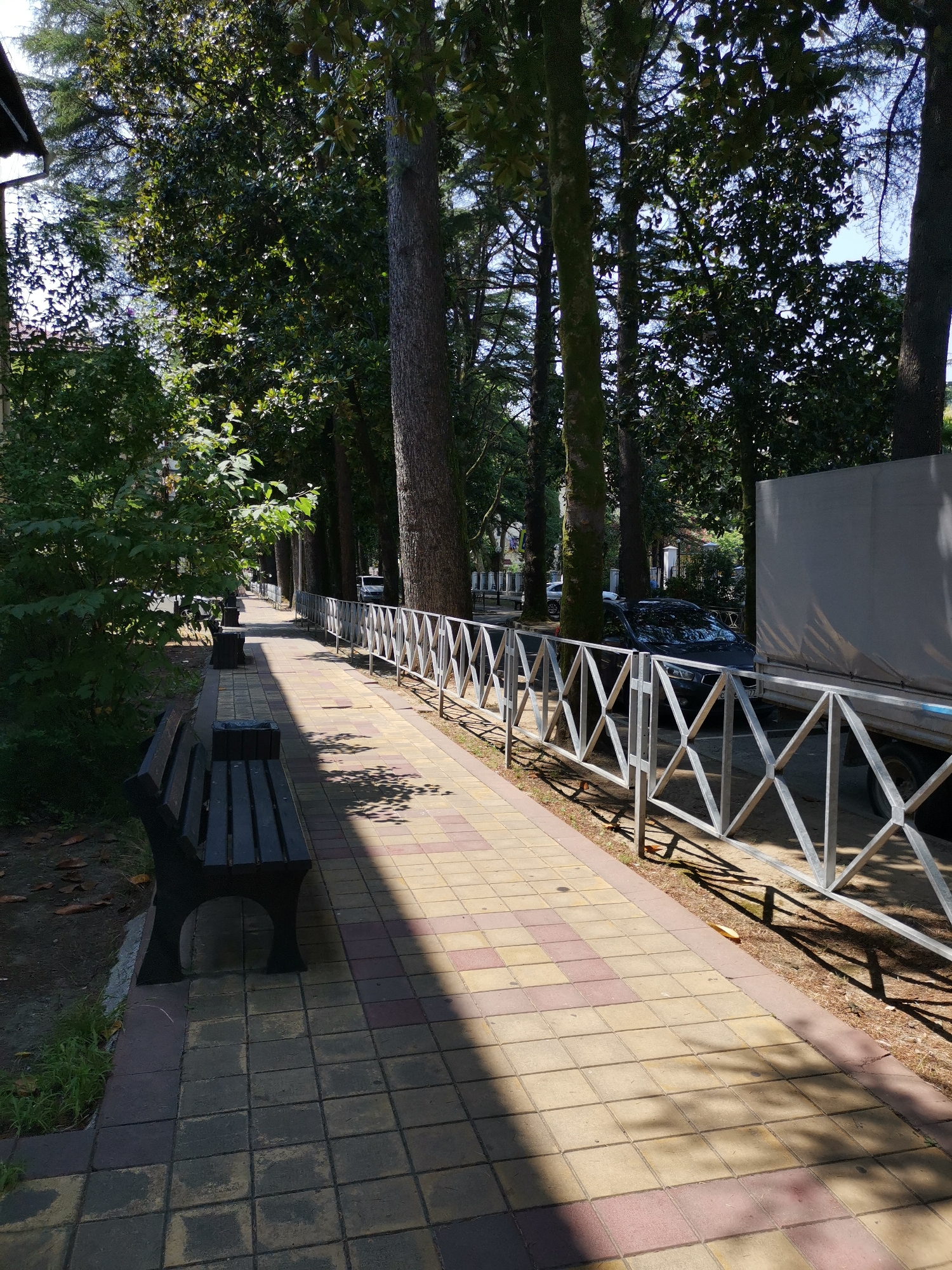 This image depicts a tree-lined pedestrian walkway in Sochi, Russia, likely in a park or along a street. The walkway is paved with square tiles in a checkerboard pattern of tan and reddish-brown. A dark wooden bench with a metal frame sits on the left side of the walkway. Adjacent to the walkway is a metal fence with a diamond pattern. Beyond the fence, cars are visible, including a dark sedan and the side of a large truck. Tall trees with dense green foliage form a canopy overhead, casting dappled shadows on the walkway. The presence of lush greenery and mature trees suggests a temperate climate, consistent with Sochi's location on the Black Sea coast. The scene appears to be an outdoor public space, likely a promenade or boulevard.