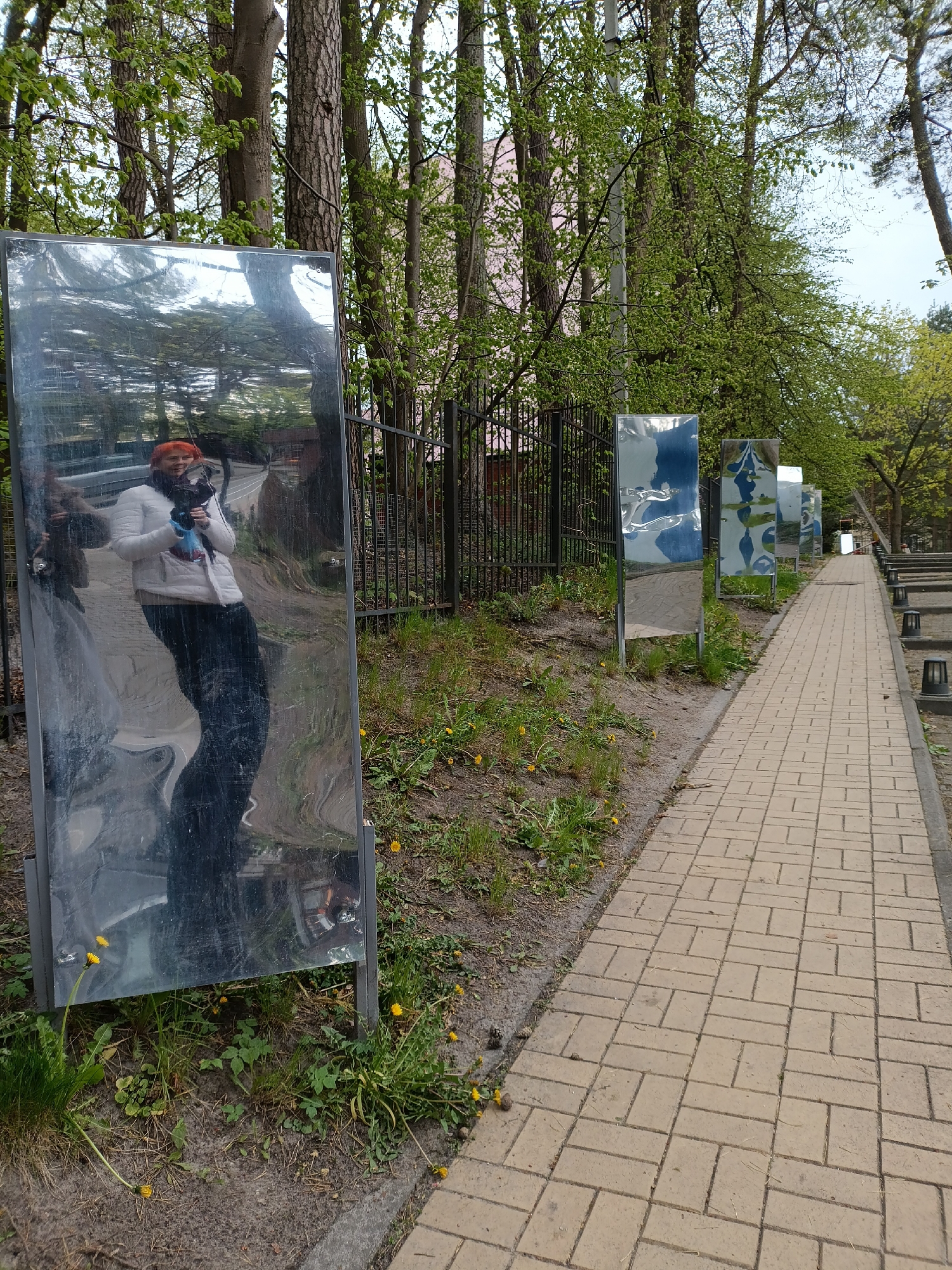 The image shows a street scene in Svetlogorsk, Russia, with a sidewalk paved with rectangular bricks extending into the distance. Along the sidewalk, on the left, are several tall, rectangular mirrors mounted vertically. The mirrors reflect the surrounding environment, including trees, foliage, and the person taking the photograph. The reflection in the first mirror shows a woman with red hair, wearing a white jacket and dark pants, holding a dark-colored object, possibly a dog. Beyond the mirrors is a black metal fence. The background includes trees with fresh green leaves, suggesting springtime, and some buildings further back. The weather appears overcast or partly cloudy, casting soft light on the scene. Along the base of the mirrors and fence, there are patches of grass and small yellow flowers.