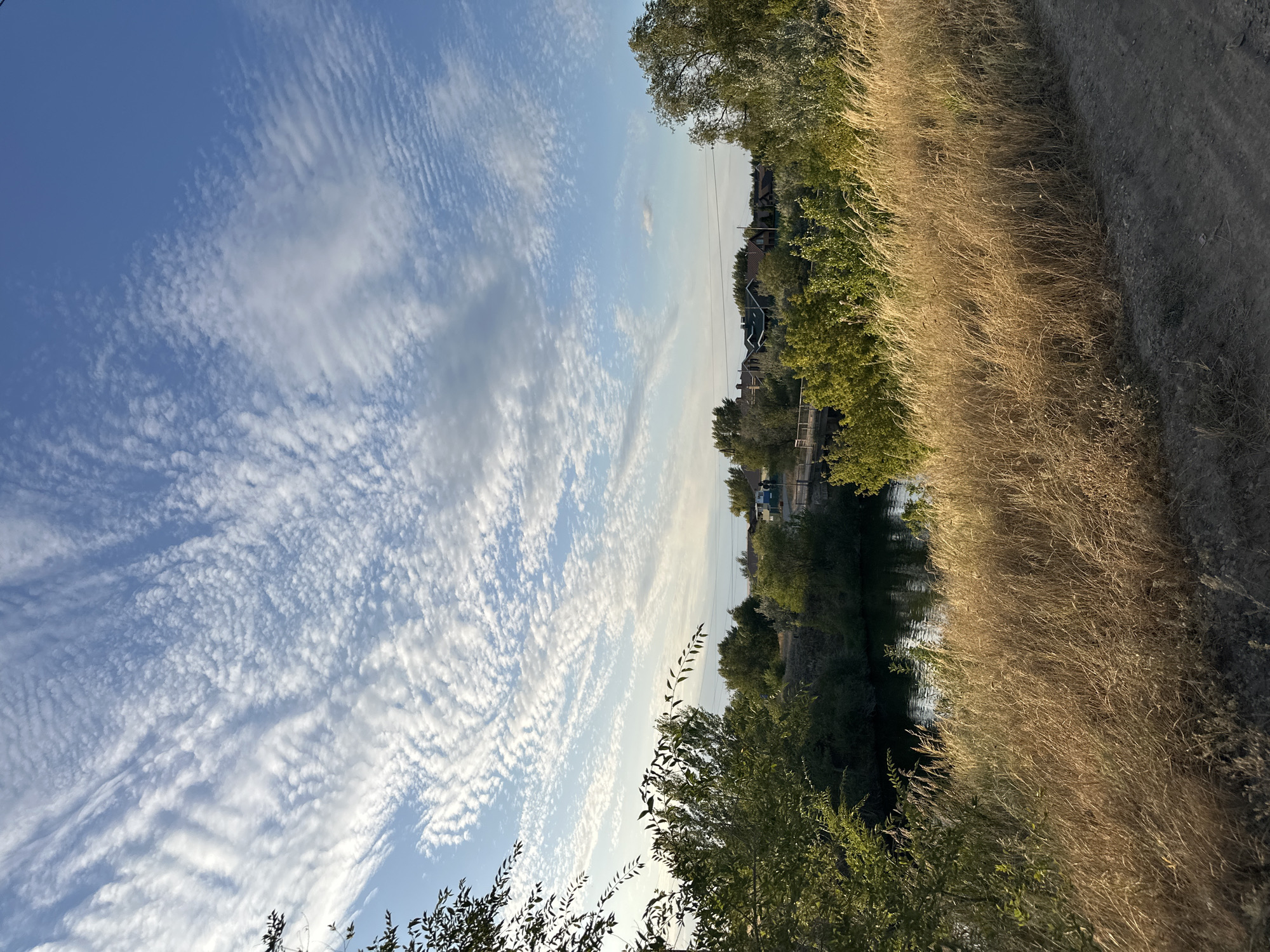 The image depicts a landscape scene near Energetik, Russia. The sky is a bright blue with scattered, wispy white clouds, creating a patterned effect across the upper portion of the frame. In the distance, a cluster of houses with dark roofs are visible amidst lush green trees. A body of water, likely a river or lake, is present in the mid-ground, reflecting the sky. A bridge spans the water, and a vehicle can be seen on it. The foreground is dominated by dry, golden grass and a dirt path. The overall impression is of a rural or semi-rural setting bathed in natural light. There are no people or overt actions depicted in the image.