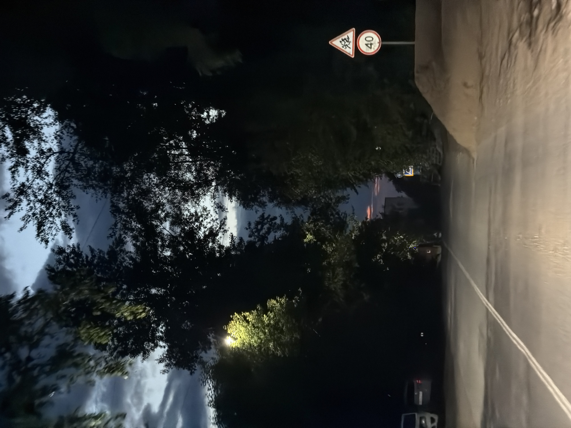 The image shows a road at dusk in Chaikovsky, Russia. Trees line the sides of the road, and a street light illuminates one of the trees. There are two cars parked on the left side of the road. On the right side of the road, there are two signs: a triangular warning sign with an image of a child and a circular speed limit sign indicating 40. The road surface appears wet, and there is a large pile of dirt on the right side of the road. The sky is cloudy and dark, indicating that night is falling.