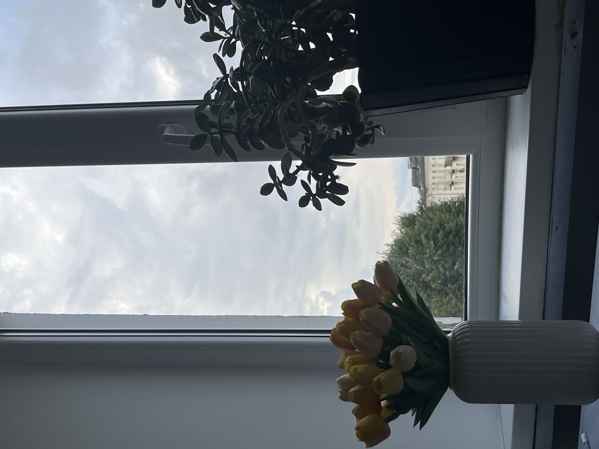 The image shows an indoor windowsill with two potted plants and a vase of tulips, viewed from a horizontal perspective. The windowsill is white. On the left, a white ribbed vase holds a bouquet of yellow and pink tulips. To the right of the vase, a dark pot contains a jade plant. Behind the plants, a window overlooks a cityscape. The sky outside is cloudy and gray. Buildings and trees are visible in the distance. The scene is devoid of people. The overall impression is that of a domestic indoor setting with a view of an urban environment.
