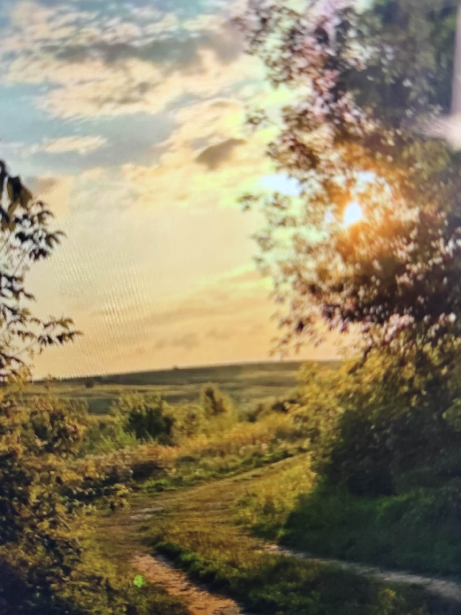 This is a photograph of a rural landscape at sunset. A dirt path winds through rolling hills covered in vegetation. Trees are visible on either side of the path, with the sun filtering through the leaves of a large tree on the right. The sky is filled with soft, wispy clouds tinged with the warm colors of the setting sun. The overall impression is one of tranquility and natural beauty. The image does not contain any recognizable landmarks or features that would definitively place it in the city of Алмалық, Kazakhstan, or any specific urban environment. It depicts a generic countryside scene.