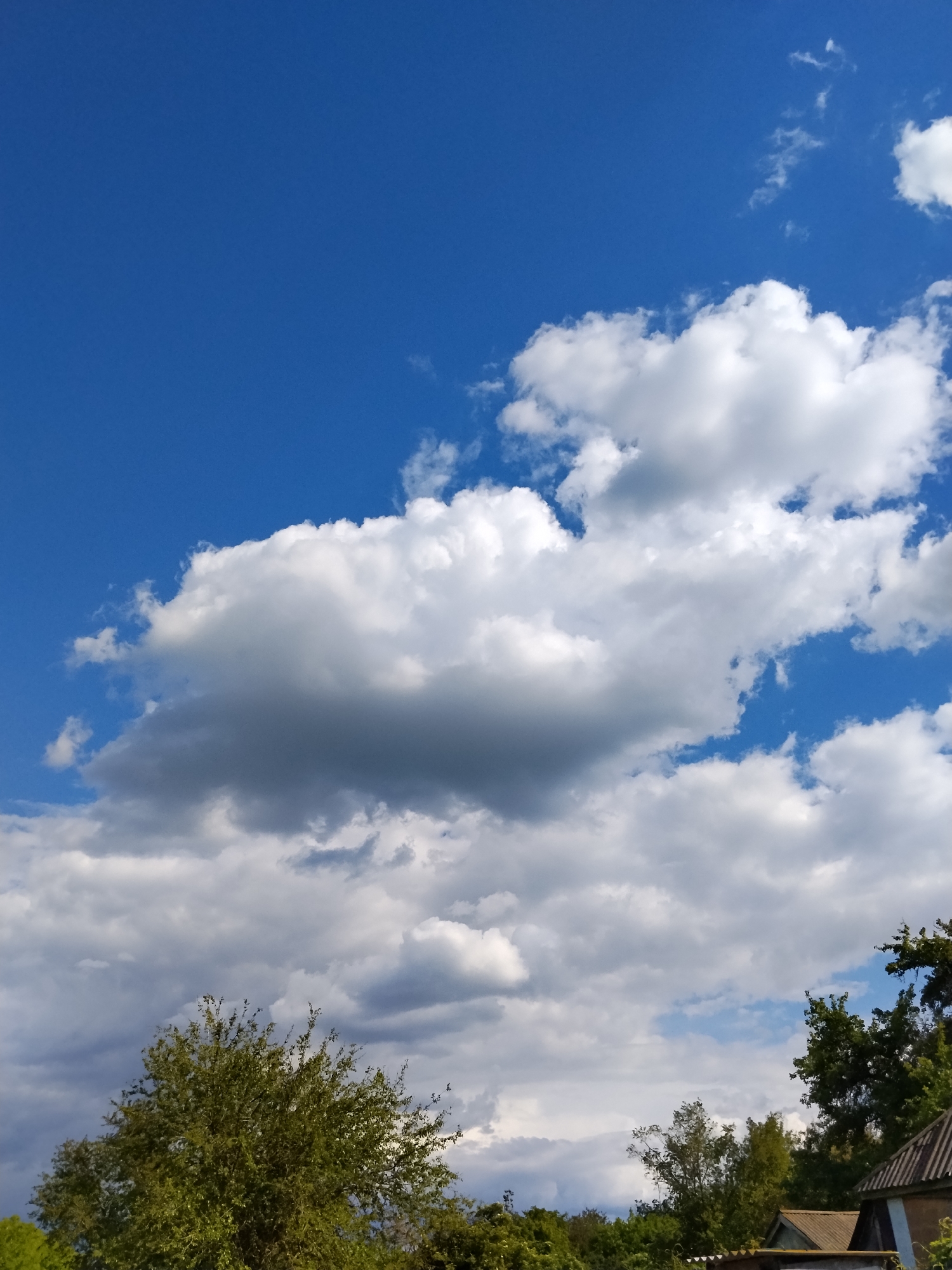 The image depicts a daytime scene in Ustyvytsia, Ukraine, characterized by a predominantly blue sky with scattered white cumulus clouds. In the lower portion of the image, greenery is visible, including trees and shrubs. Roofs of buildings are partially visible, suggesting a residential area. There are no people visible in the image. The overall atmosphere suggests a clear, sunny day in a rural or suburban setting.
