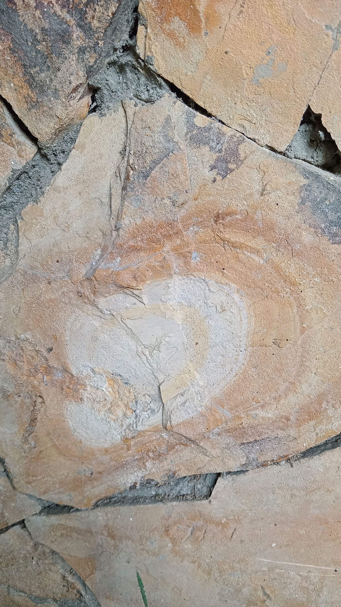 This is a close-up, overhead, eye-level shot of a textured stone wall, likely part of an outdoor decorative element or building facade. The stones are irregularly shaped and various shades of tan, beige, and grey, with visible mortar filling the gaps between them. A prominent feature is a light-colored, circular or oval marking on one of the larger tan stones, exhibiting concentric rings or layered patterns. The texture of the stones is rough and uneven, with some evidence of natural fissures and weathering. There are no people or discernible actions taking place in the image. The scene is purely a detailed view of the stone work. This image was captured in Randuagung, Indonesia.