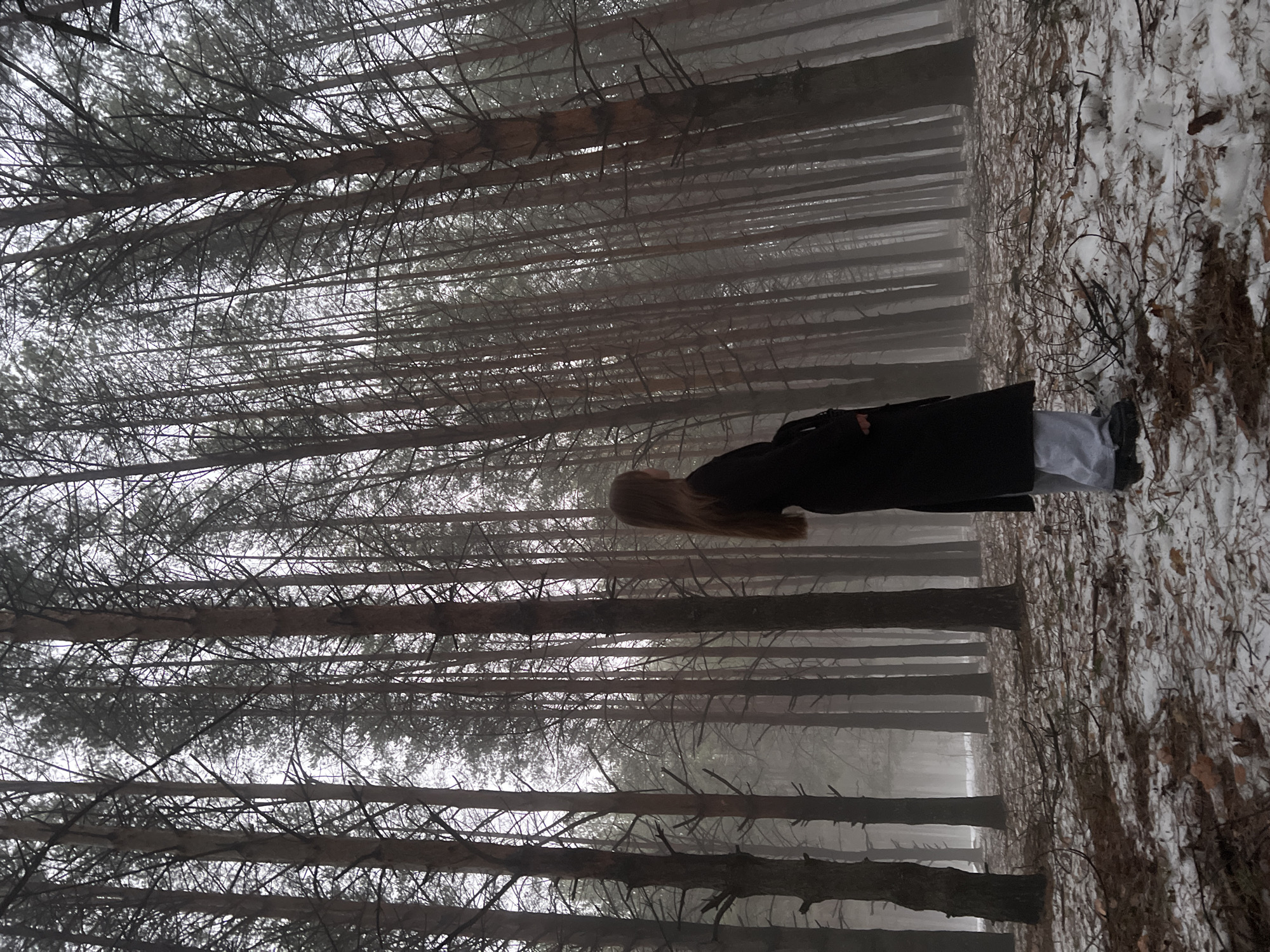The image, rotated ninety degrees, depicts a woman standing in a forest, possibly located near the city of Chaikovsky, Russia, given the prevalence of coniferous forests in that region. The scene is shrouded in fog, creating a somber atmosphere. The woman is wearing a dark coat and light-colored pants. She is positioned on a snow-covered ground, which is littered with twigs and fallen leaves. The backdrop consists of tall, slender trees whose branches are densely intertwined, partially obscuring the sky. The spacing between the trees creates a sense of depth, suggesting a dense forest.
