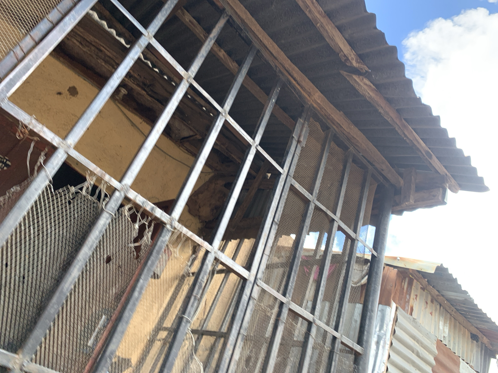 A low-angle, eye-level, full shot captures a portion of a structure with a corrugated metal roof and wooden beams. A metal grate, with a diamond-patterned mesh behind it, obstructs the view of the interior. The interior walls appear to be made of a yellowish-brown material. The scene is lit by natural light, with a bright sky and clouds visible in the upper right corner. The building appears weathered and in disrepair, with some rust visible on the metal siding. The overall impression is one of a rustic or perhaps abandoned dwelling.