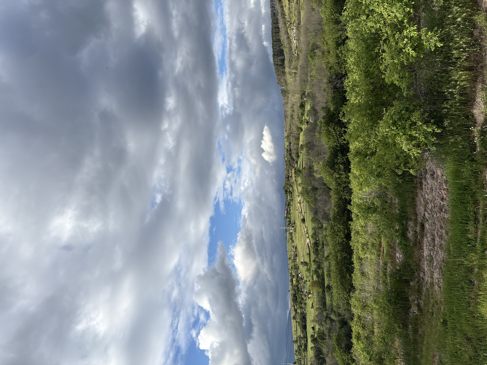 The image shows a landscape, seemingly near or in the city of Panagyurishte, Bulgaria, given the hilly terrain and vegetation typical of the region. The right side features a hillside covered in lush green vegetation, including trees and grass. A dirt path or track runs along the edge of the vegetation.
To the left, the image shows a dynamic sky filled with clouds. The clouds range from light gray to darker, stormier shades, with patches of blue sky visible in between. This suggests a weather pattern that might be shifting or about to change.
In the distance, below the clouds and amidst the greenery, are indications of human habitation. Small buildings or houses are interspersed among the trees, suggesting a rural or semi-rural setting. Power lines are visible, indicating the presence of infrastructure.