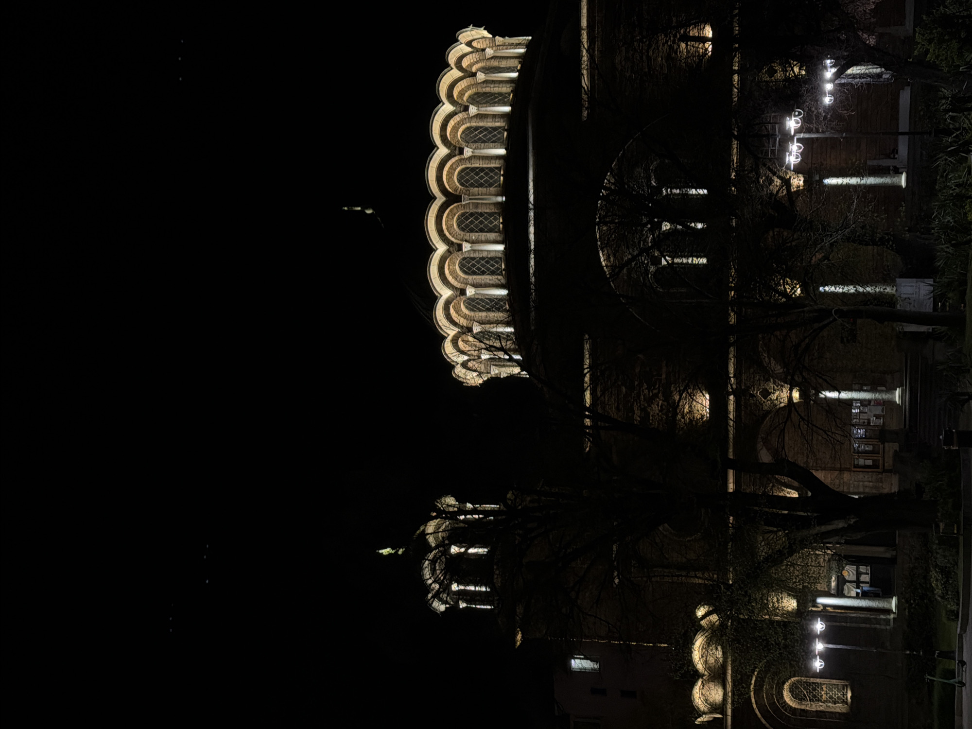 The image depicts St. Alexander Nevsky Cathedral in Sofia, Bulgaria at night. The illuminated facade is visible against the dark sky. Trees frame the building. Streetlights are also visible, providing further illumination.