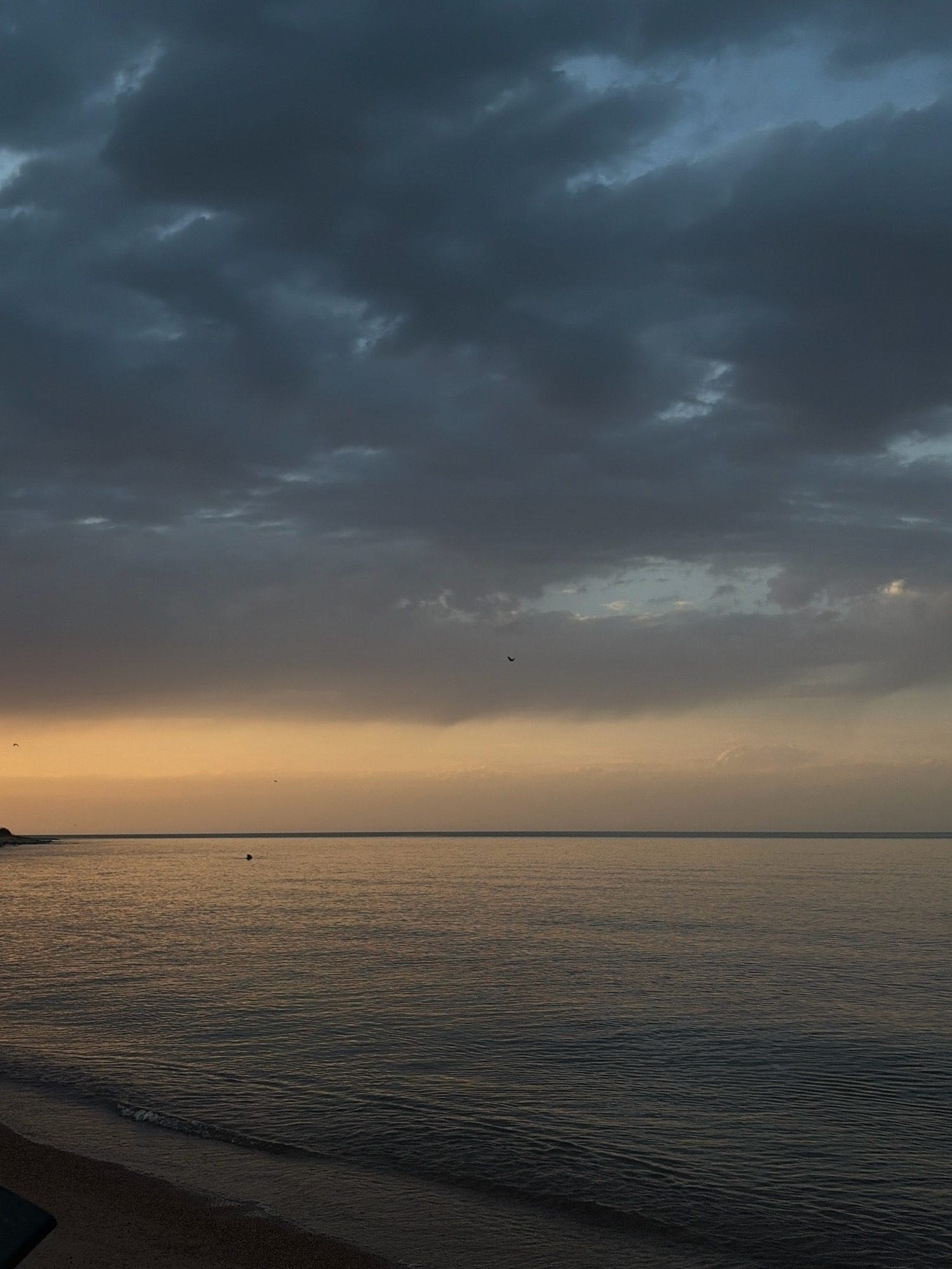 The image shows a natural body of water, likely Lake Issyk-Kul, with a sandy shore in the foreground. The sky is filled with dark, dramatic clouds, with a band of softer, yellowish light near the horizon. Two small, dark shapes are visible in the water, possibly buoys or swimmers. A single dark bird is in flight in the sky. The overall scene suggests a moody, atmospheric moment, possibly at dawn or dusk. The location is identified as Тосор, Kyrgyzstan.