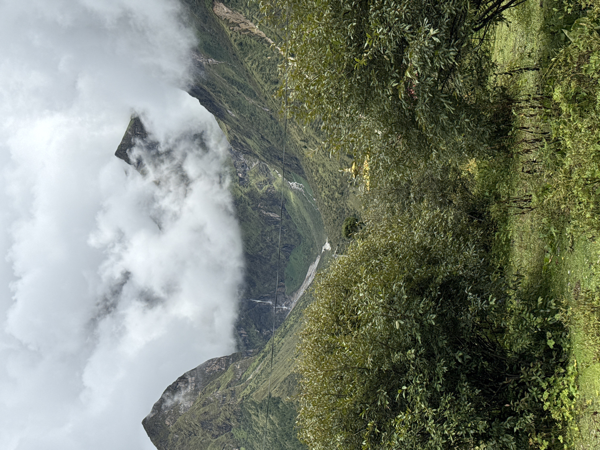 The image depicts a lush green valley nestled between towering mountains in Samagaon, Nepal. The foreground is dominated by dense green foliage, with thick bushes and low-lying vegetation. In the mid-ground, a winding riverbed is visible, and further in the distance, a waterfall cascades down the side of a mountain. The peaks of the mountains are shrouded in dramatic, swirling clouds, with one peak partially visible, suggesting a high-altitude location. A golden stupa or temple structure is subtly visible through the trees in the mid-ground, adding a cultural element to the natural landscape. The overall impression is one of remote, natural beauty with a touch of spiritual presence.