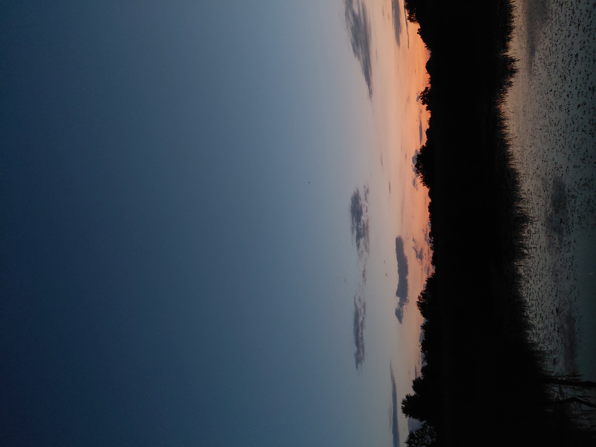 The image depicts a serene twilight scene over a body of water with a silhouetted treeline in the background. The sky transitions from a deep, dark blue at the top to a soft orange and peach hue near the horizon, with scattered, wispy clouds. The water's surface reflects the fading light and the dark silhouette of the trees. The foreground shows a reflective surface of water, possibly a lake or river, with subtle textures suggesting aquatic plants or ripples. The treeline is a dense, dark mass against the colorful sky, indicating a natural environment. There are no people or specific man-made structures visible, suggesting a natural landscape on the outskirts of Ustyvytsia, Ukraine, during dusk.