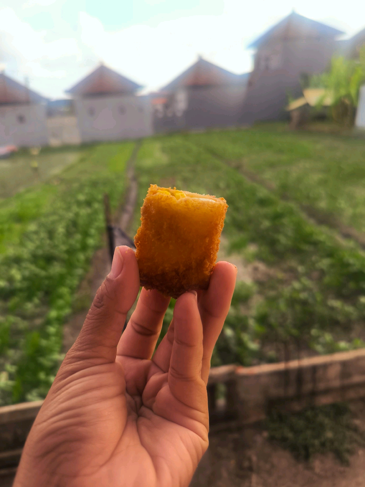 In Tabanan, Indonesia, a person's hand holds a golden-brown, square-shaped fried snack. The snack appears to be breaded and possibly contains a filling. The hand is positioned in the foreground, with the snack obscuring part of the fingers and thumb. Behind the hand, a field of green crops stretches into the distance, with rows suggesting cultivation. Several buildings with pitched roofs are visible in the background, some appearing to be houses. The sky is bright with some clouds.