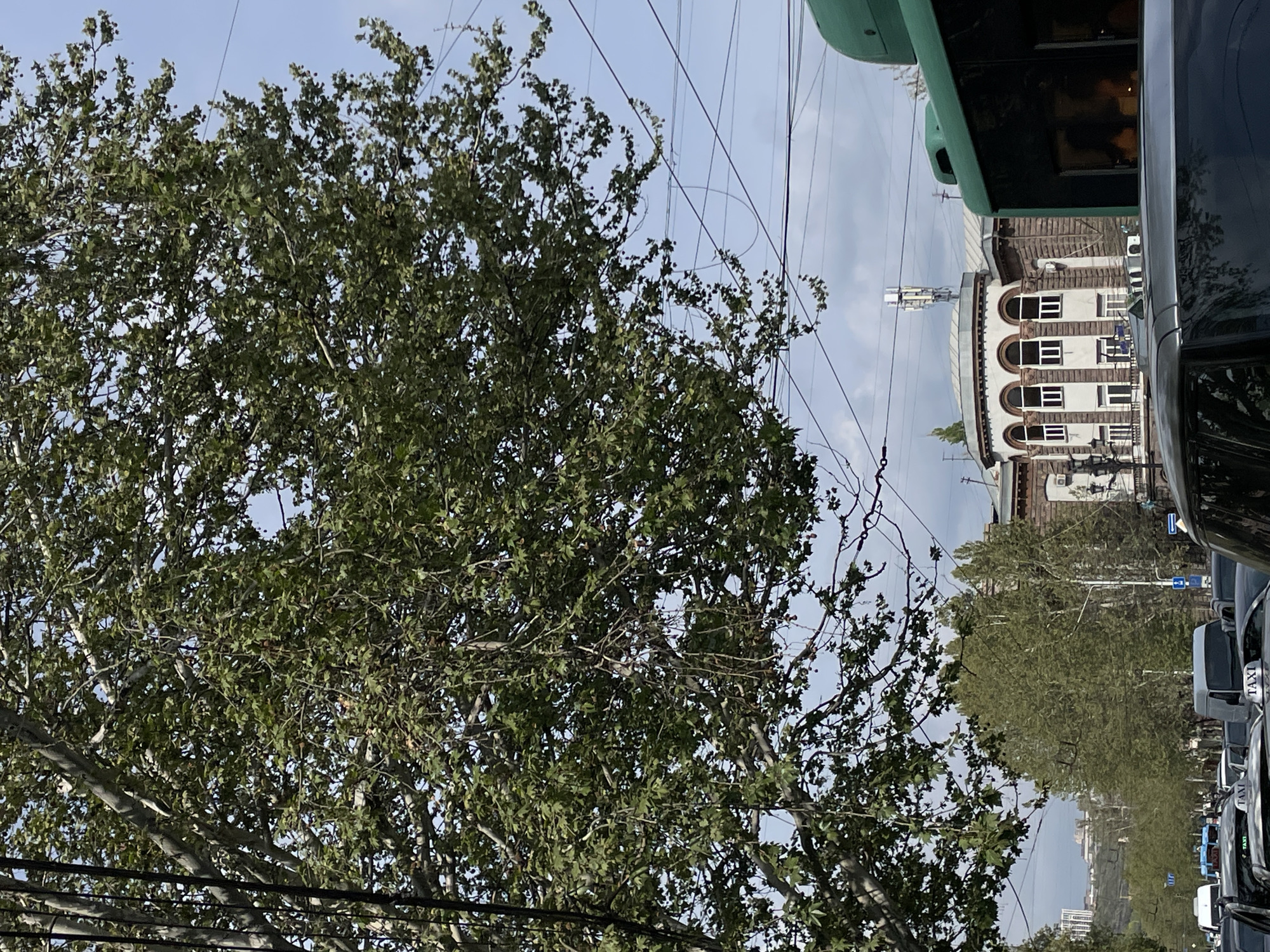 The image captures a vibrant daytime street scene in Yerevan, Armenia, characterized by a mix of mature trees and urban infrastructure. The perspective suggests a view from street level, looking slightly upwards and across a road.
On the left side of the frame, a large, leafy tree dominates, its dense green foliage filling much of the foreground. Its branches extend upwards, partially obscuring a bright, clear to partly cloudy sky. Numerous black utility wires crisscross the sky, some appearing to pass through or near the tree canopy.
Towards the right, a distinctive multi-story building with a light-colored facade is visible. It features a row of arched windows on its upper floor, giving it a classic architectural appearance. On the rooftop of a building behind it, a white communication tower or mast stands prominently against the sky.
Below this building, a street is lined with parked vehicles, primarily dark-colored cars. At least one of these vehicles clearly displays a "TAXI" sign on its roof. A green public transport vehicle, possibly a tram or bus, is partially visible in the extreme foreground on the far right, suggesting it is either stationary or passing by. Further down the street, more trees and a distant cityscape are discernible under a hazy sky.
The scene is brightly lit, indicating it is daytime. No explicit human activity is captured, but the presence of taxis and public transport implies a bustling urban environment.