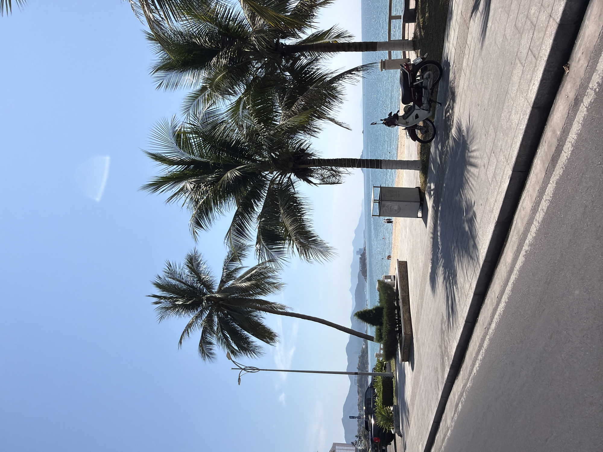 The image shows a sunny day on a street alongside a beach in Nha Trang Ward, Vietnam. Three palm trees are visible, with the left tree leaning toward the sky. A sidewalk runs along the beach, separated by a small landscaped area. A parked motorcycle and a trash receptacle are visible on the sidewalk. The ocean and distant hills are visible in the background. Vehicles and other palm trees are visible in the distance along the street. The sky is blue.