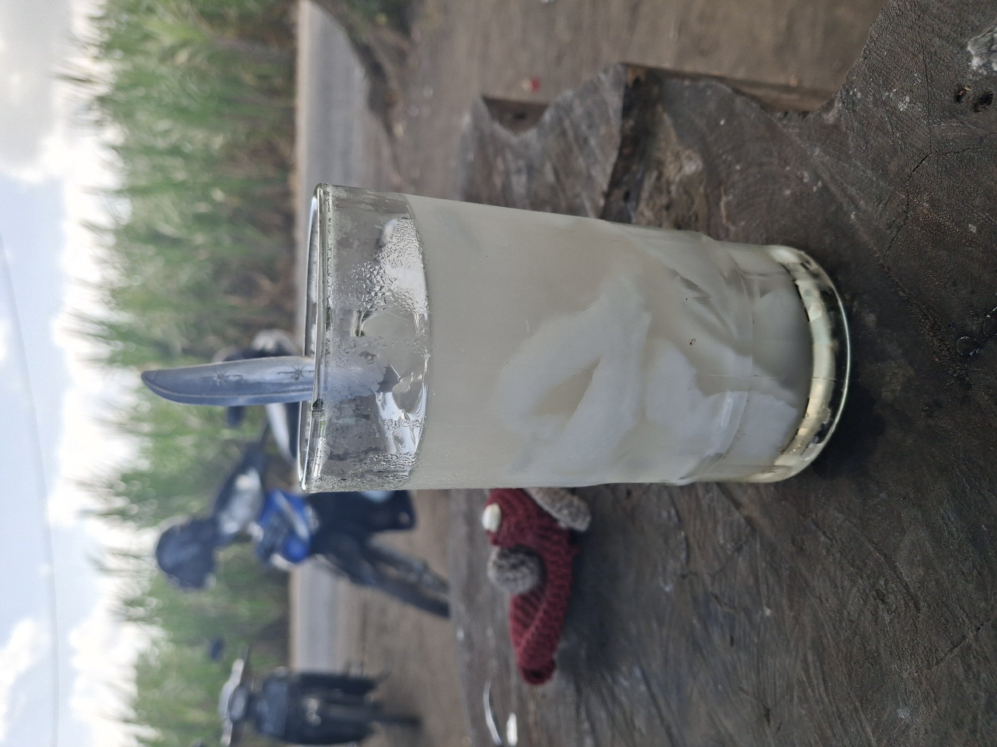 In Jogotrunan, Indonesia, a glass of fresh coconut water sits on a weathered wooden surface. The glass is filled with water and chunks of young coconut, with condensation visible on its exterior. A metal spoon is submerged in the drink. To the left of the glass, a small, crocheted red object with brown accents lies on the wood. In the background, out of focus, are two motorcycles parked near a road. Beyond the road, tall green plants, possibly sugarcane, form a dense line against a cloudy sky. The scene suggests a roadside refreshment stand or a casual stop in a rural or semi-rural area.