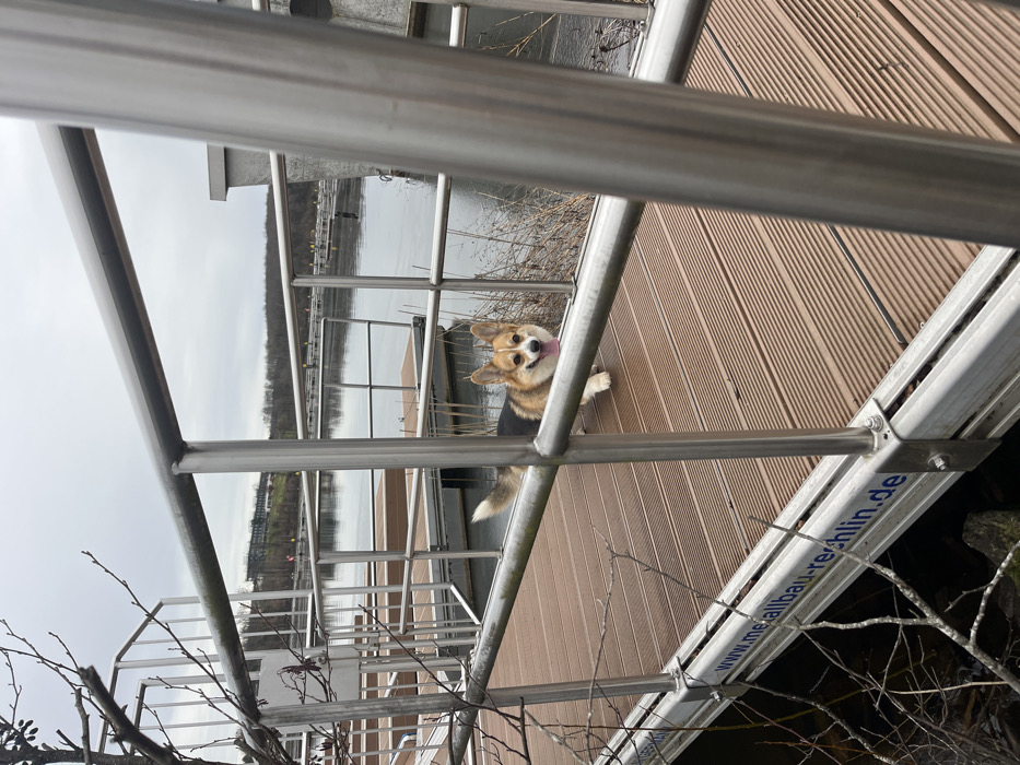 The image depicts a tri-color Pembroke Welsh Corgi standing on a brown, ribbed composite-wood dock at a waterfront location in Nohfelden, Germany, likely Bostalsee. The dog, exhibiting tan, black, and white fur, faces the camera with its mouth open and tongue partially extended, positioned slightly right of the frame's center. Silver-colored metal railings, featuring vertical stanchions and horizontal bars, form the immediate foreground and structure of the dock. A lower horizontal metal beam of the railing system bears the white text "www.metallbau-rechlin.de". To the left, leafless tree branches intrude into the frame. The dock extends over a calm, dark body of water, which reflects the overcast sky. In the midground, additional floating dock sections or moorings are visible across the water. The background features a distant treeline, appearing bare, and a multi-story building, possibly a resort, situated on a remote hillside. The sky is uniformly gray and overcast, suggesting a cloudy day. No other individuals are visible.