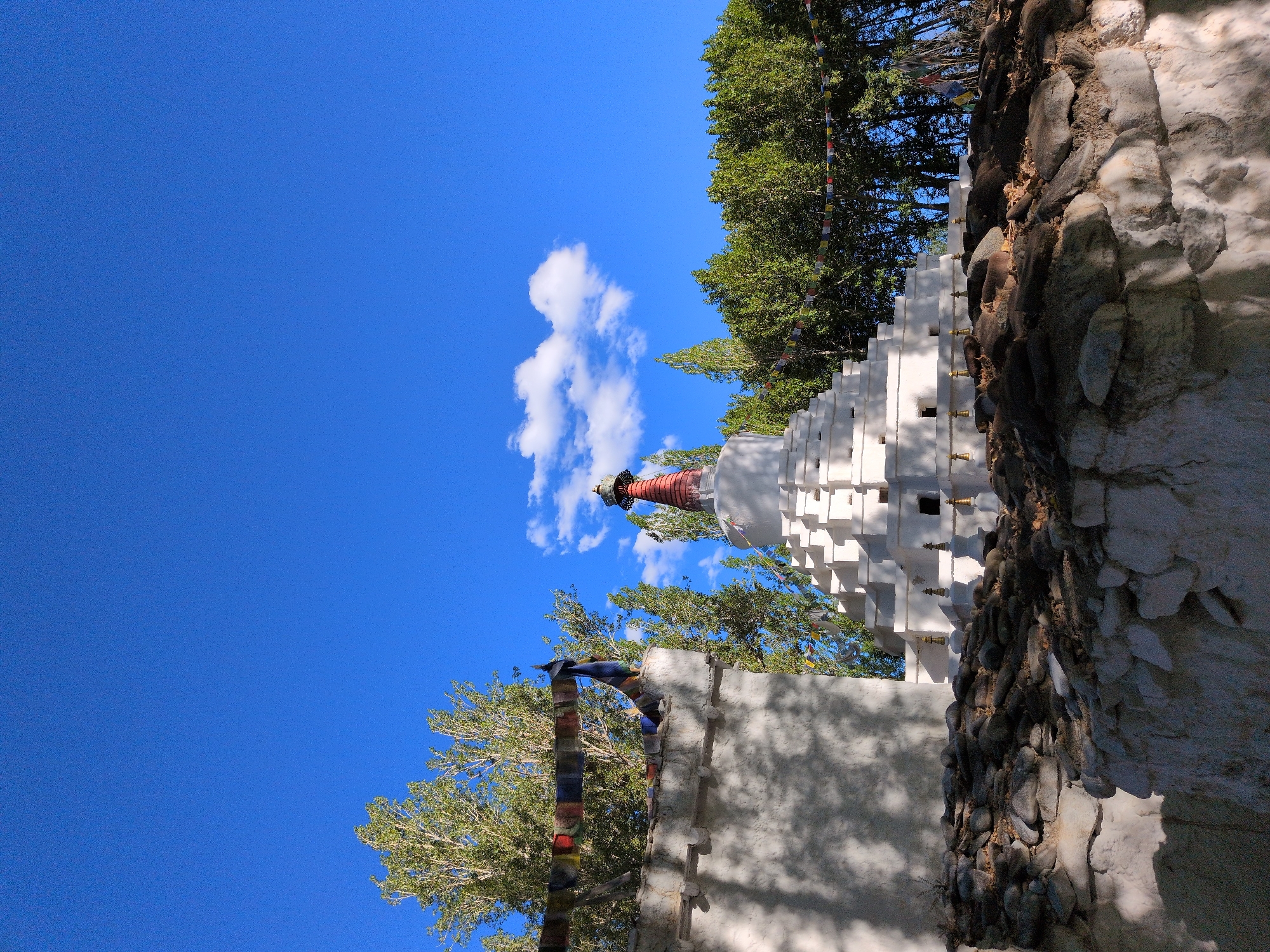 A white stupa with tiered levels and a red and gold finial stands prominently against a clear blue sky. Prayer flags in various colors are strung across trees and on a wall in the foreground. The stupa is surrounded by trees and what appears to be a rocky, uneven terrain. A white wall with prayer flags on it is visible to the left of the stupa, casting a shadow. This scene is likely located in the city of Leh, India, a region known for its Buddhist monasteries and stupas.
