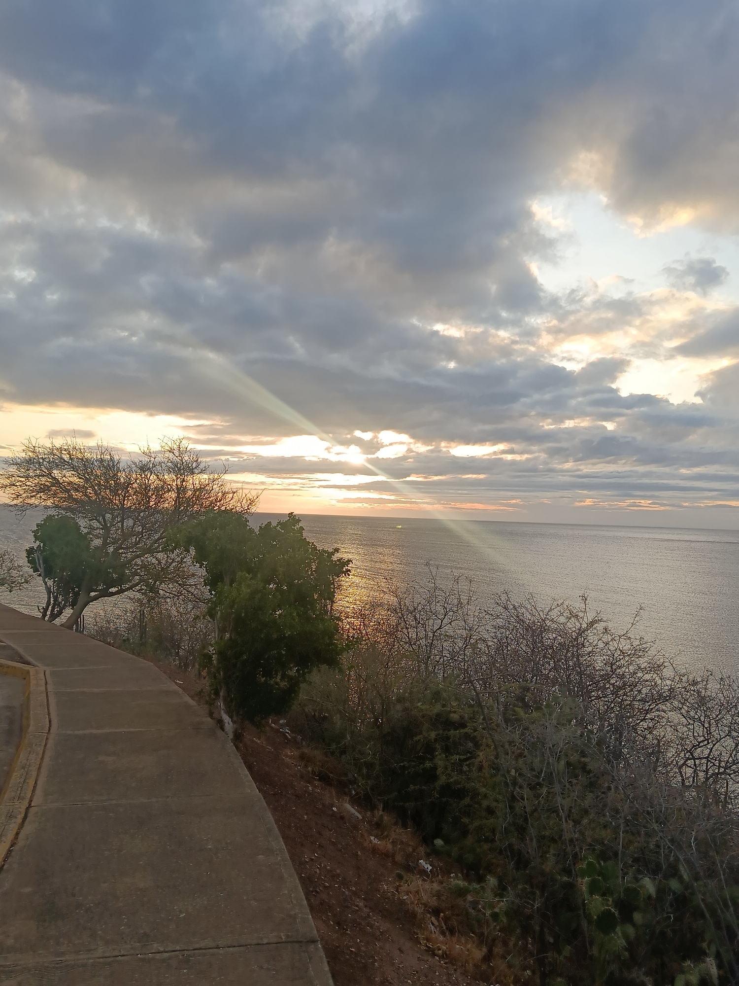 The image depicts a serene coastal landscape captured during either sunrise or sunset, overlooking the sea from an elevated perspective, consistent with the location context of Juan Griego, Venezuela. The sky is dominated by a dramatic cloudscape, featuring a mix of gray and white clouds. Golden sunlight emanates from beneath the clouds on the horizon, piercing through with distinct crepuscular rays that fan out diagonally across the upper right section of the sky. This warm light casts a shimmering reflection across the surface of the vast ocean, which extends to meet the horizon.
In the foreground, a concrete paved path with a yellow curb curves along the left, winding its way along what appears to be a hillside or cliffside. The slope between the path and the ocean is densely vegetated. This includes several trees, some with intricate bare branches, and others with vibrant green foliage. Various shrubs and dry, earthy terrain cover the ground, with a visible cacti-like plant in the lower right foreground. No individuals or written text are discernible within the frame. The scene conveys a tranquil and awe-inspiring ambiance, emphasizing the natural beauty of the coastal environment during this atmospheric time of day.