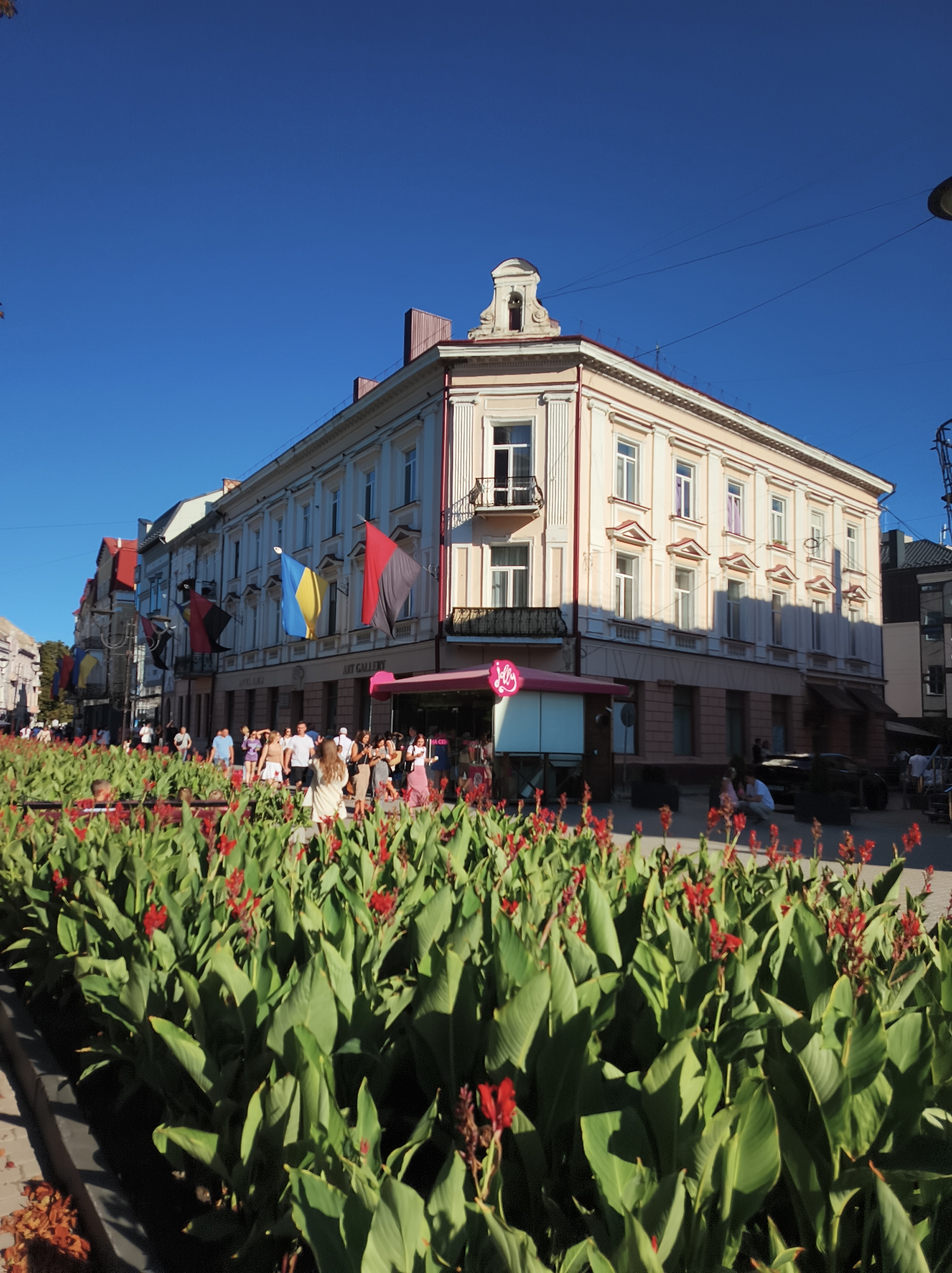 This is a daytime, eye-level, exterior, full shot of a street scene in Ternopil, Ukraine, captured on a clear, sunny day. The foreground is dominated by a large bed of lush, green plants with vibrant red flowers, obscuring the lower portion of the image. Beyond the plants, a bustling city street is visible, lined with ornate, multi-story buildings. Several flags, including the blue and yellow flag of Ukraine and black and red flags, are displayed on poles extending from the buildings. Numerous people are walking along the sidewalk, engaged in various activities. The buildings themselves feature detailed architectural elements, with multiple windows and decorative trim. A pink awning with a "Jelly" logo is visible on one of the buildings, suggesting a commercial establishment. The overall atmosphere appears lively and urban.