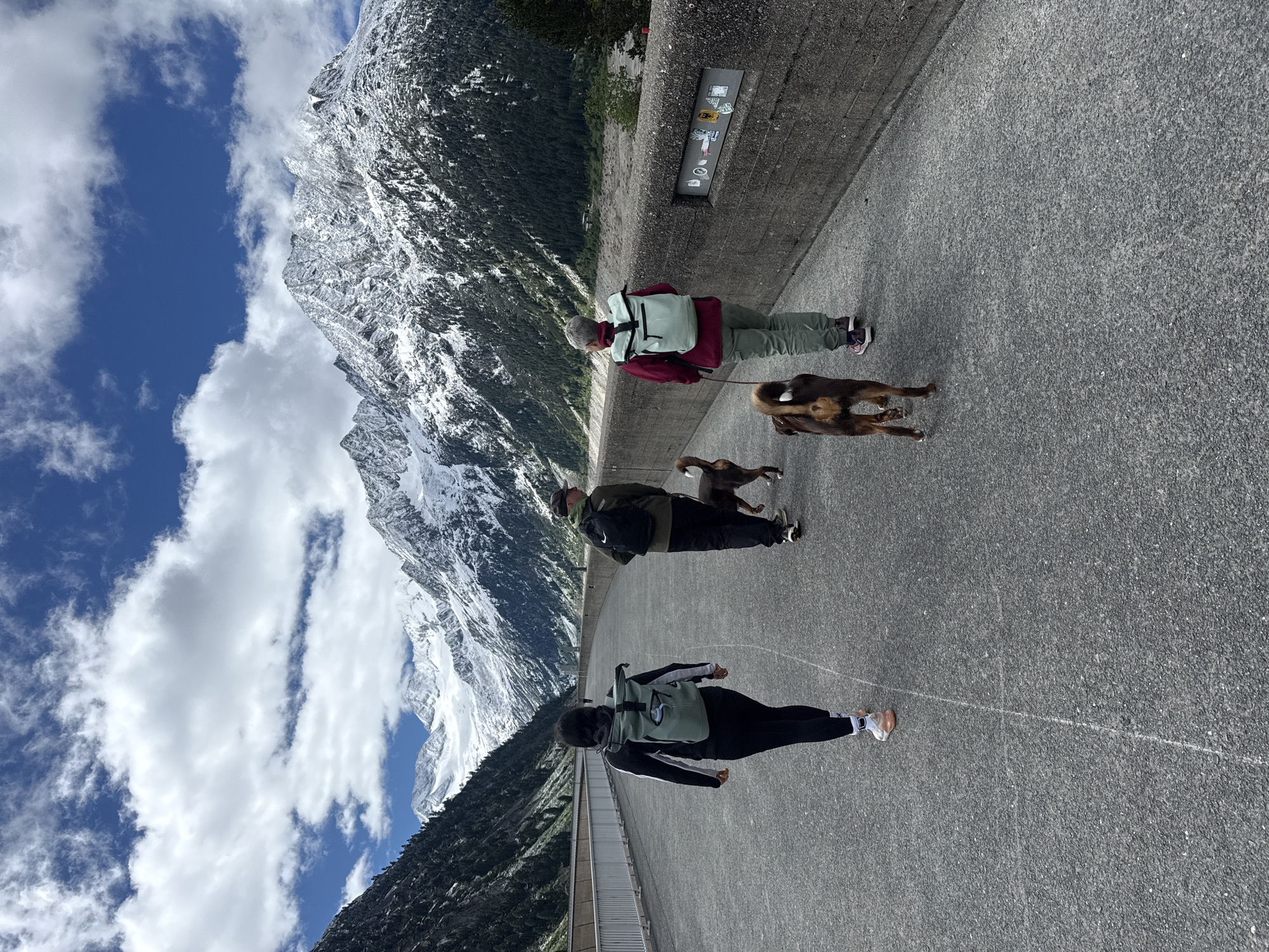 The image depicts a scenic view of a mountain range with snow-capped peaks under a partly cloudy blue sky. In the foreground, a paved path runs along a concrete wall. Three people and two dogs are walking on the path. The person in the foreground on the left is wearing a black tracksuit with white stripes and a mint green backpack. The person in the middle is wearing a dark jacket, olive pants, and a black backpack, walking a brown and black dog on a leash. The person on the right is wearing a burgundy jacket, olive pants, and a mint green backpack, walking a brown and black dog on a leash. The path is a walkway along a large concrete structure, likely a dam or a retaining wall, with a metal railing on the left side. The background shows a valley with dense green trees and the imposing snow-covered mountains. This location is identifiable as the Finkenberg, Austria dam in the Zillertal valley, a popular tourist destination known for its hydroelectric power plant and stunning alpine scenery.