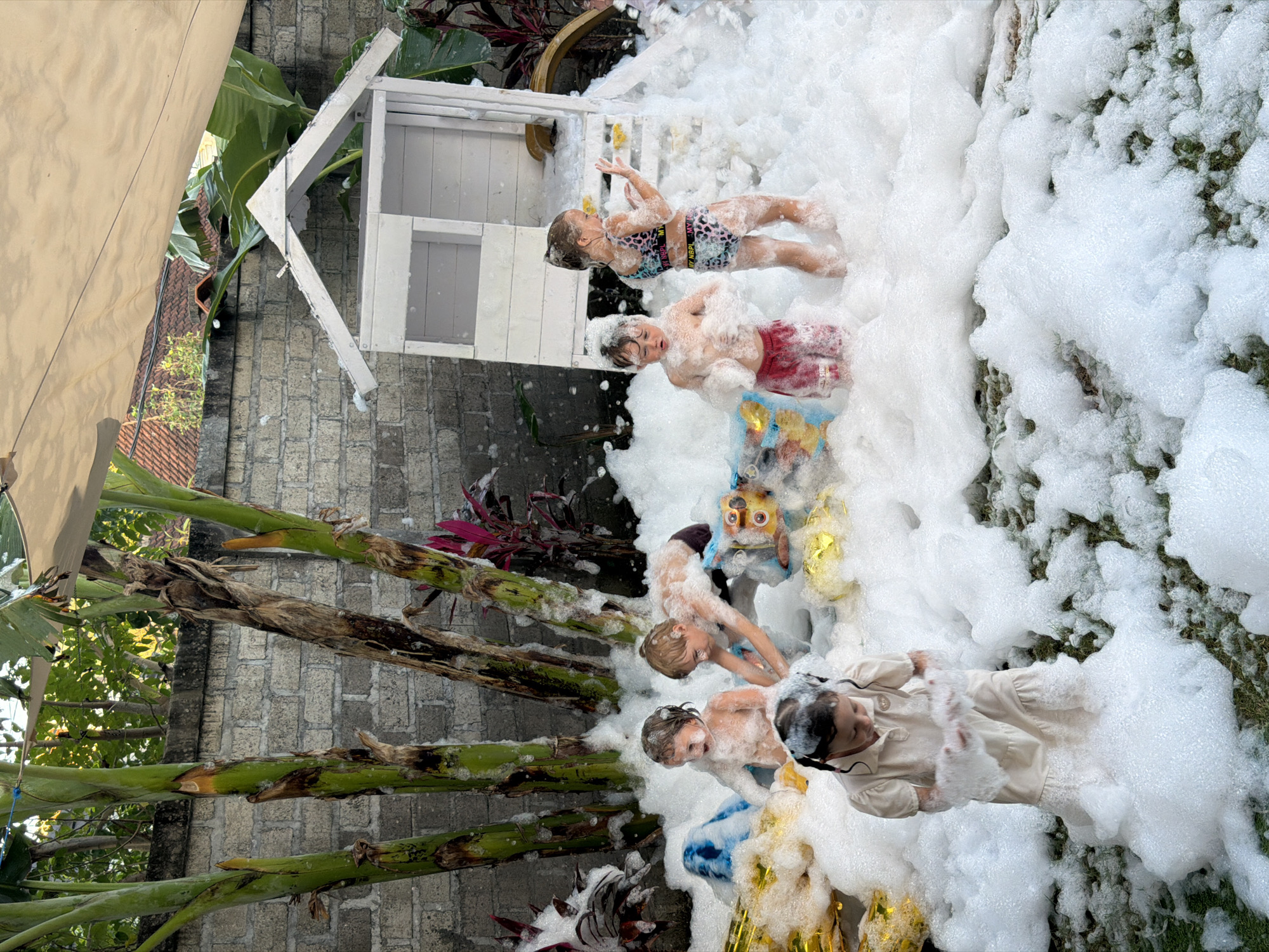 This outdoor scene in Kuta Selatan, Indonesia, depicts a lively foam party or play session with at least five young children immersed in a thick blanket of white soap suds. The setting appears to be a tropical backyard or recreational space, characterized by tall green banana trees, other lush red and green foliage, and a stone-patterned wall in the background. A light-colored canvas or awning partially covers the left side of the area.
The children are actively playing in the copious foam. A girl in a leopard print swimsuit, with partially visible text on her top, stands near a white wooden playhouse structure that is half-submerged in the foam. Next to her, a boy in red swim shorts is also standing. Further into the foam, two shirtless boys are visible; one with lighter hair is reaching into the bubbles near a colorful, possibly owl-shaped toy and some gold foil decorations. Another boy is partially visible nearby. A girl in a light-colored (cream/white) dress is seen sitting or lying within the foam, appearing relaxed.
The bright natural lighting indicates it is daytime, and the activity suggests warm weather suitable for outdoor water-based fun. The children appear engaged and delighted by the unique sensory experience of playing in the deep foam.