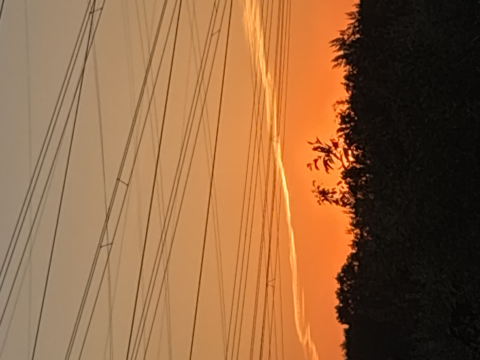 A low-angle, medium shot depicts a sunset scene observed in Chaikovsky, Russia, near power lines and trees. The horizon is aglow with orange light, illuminating the trees. Fine linear contrails traverse the sky, contributing to the vibrant colors. Power lines are prominent, stretching from the lower left to the top center of the frame. They contrast against the brightly lit sky. The silhouettes of the trees are positioned on the right side of the image, forming a dark border.