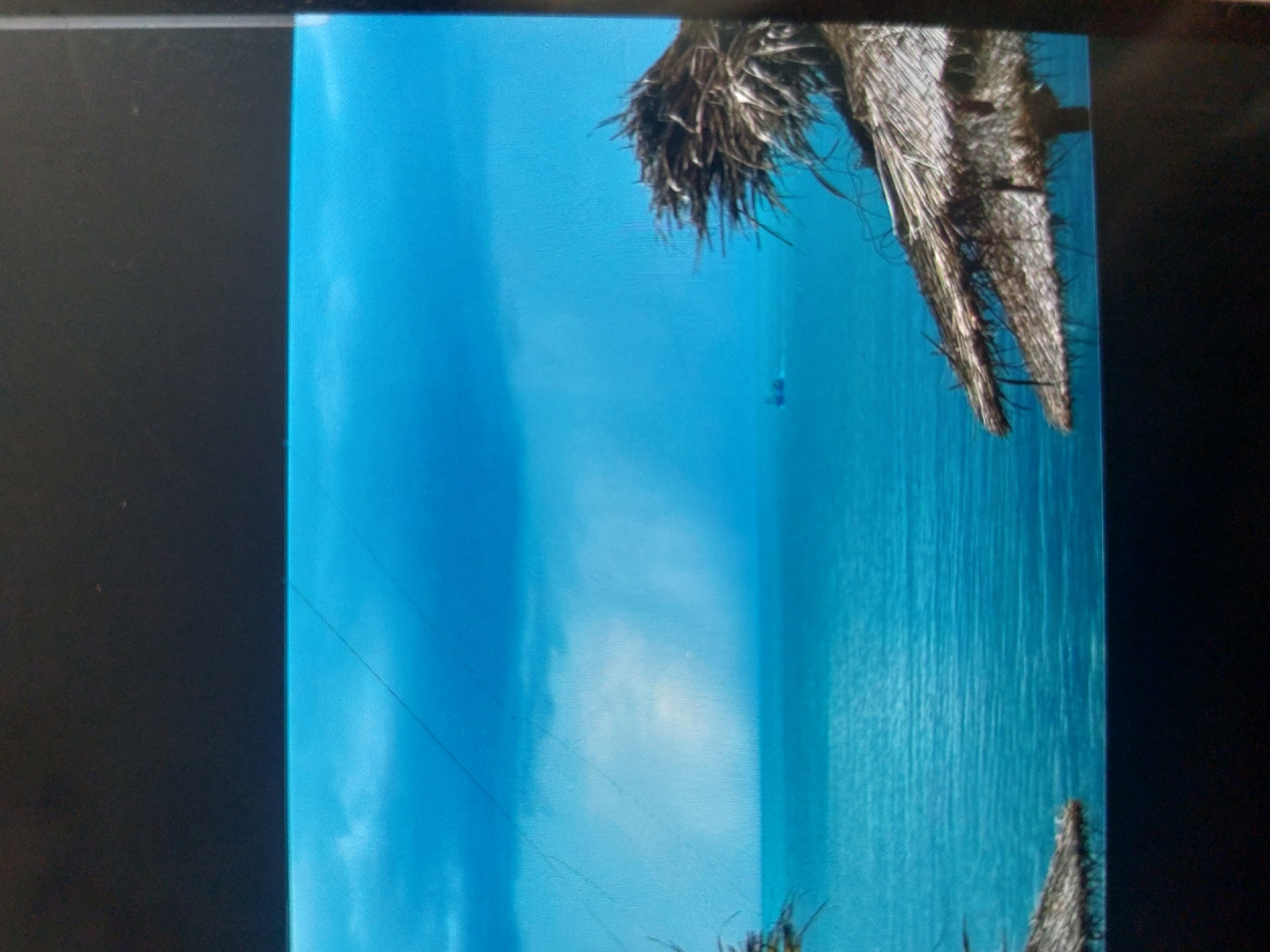 The image appears to be taken on a beach in Tsarevo, Bulgaria, though specific location details cannot be determined from the visual data alone. The scene features a turquoise sea with white clouds, suggesting a bright, sunny day. The upper portion of two palm trees with thatched awnings are visible. In the sky, thin strands, likely powerlines, are discernible. The overall composition presents a typical beach scene. The rest of the image consists of the border of the computer monitor it appears to be taken on.