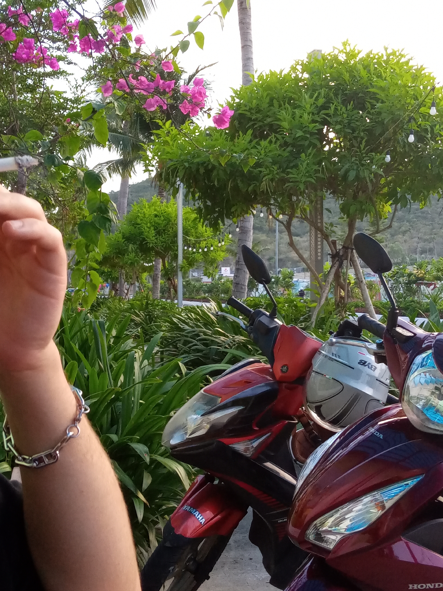 A medium shot reveals a hand holding a cigarette in the foreground. A silver chain bracelet adorns the wrist. Two motorbikes, a red Yamaha and a maroon Honda, are parked close together in the midground. A white helmet rests on the red Yamaha. Lush greenery surrounds the motorbikes, including trees and shrubs. String lights hang from the trees. In the background, glimpses of buildings and a hillside can be seen. The location appears to be Bắc Nha Trang, Vietnam.