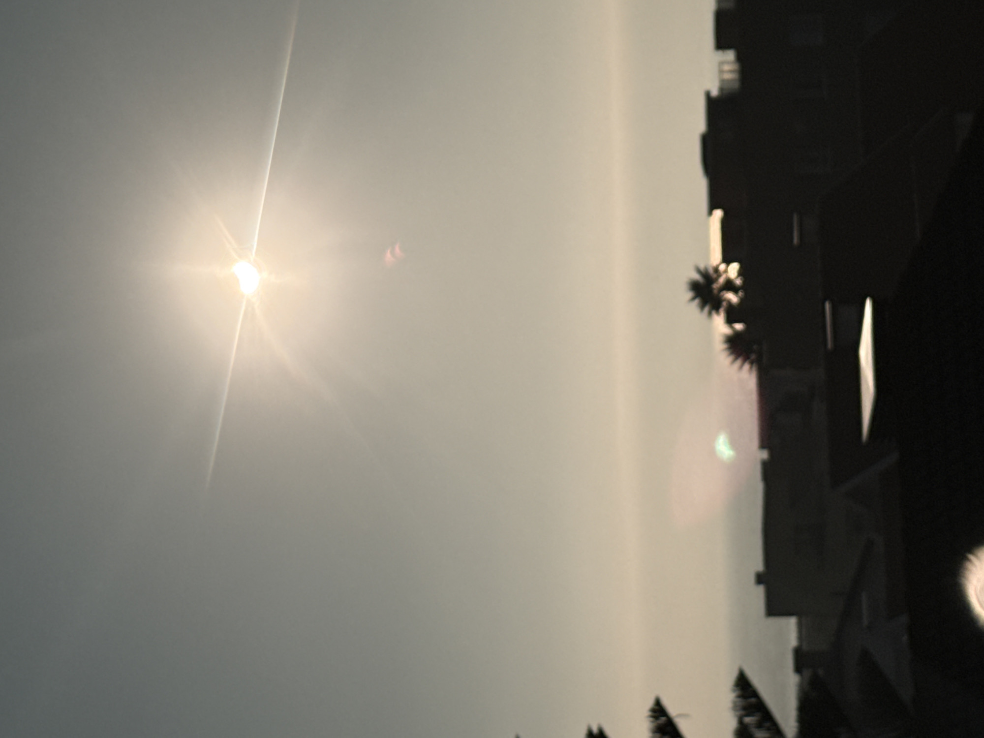 This image captures a solar eclipse over Vila Nova de Gaia, Portugal, likely taken from a rooftop or elevated vantage point. The sun, partially obscured, emits bright rays and lens flares, creating a starburst effect. In the foreground, the silhouettes of buildings, possibly apartment complexes or houses, are visible, with rooftops and chimneys depicted. A palm tree is also silhouetted against the sky. The lower portion of the image is dominated by these dark, silhouetted structures, while the upper two-thirds are of the hazy, bright sky. The sea or a body of water is faintly visible on the horizon line, separating the sky from the land. The overall impression is one of a dramatic celestial event observed over an urban coastal landscape.