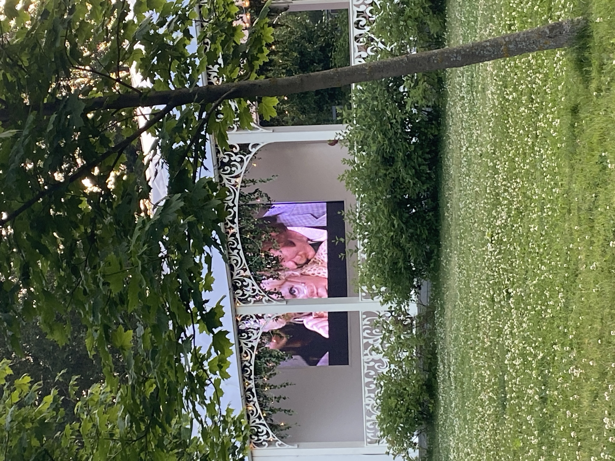 The media file shows an outdoor scene, possibly a wedding or a special event, with a white gazebo adorned with intricate patterns and lights. Two large screens are displayed on the gazebo, showing close-ups of what appear to be people. The top screen shows a man and a woman, both with their eyes closed, their faces turned towards each other. The woman's hair is blonde, and she is wearing a patterned outfit. The man's face is partially obscured by the woman's head. The bottom screen shows another individual's face, with bright eyes and a somewhat surprised expression.
The gazebo is surrounded by lush green foliage and a tree with large leaves partially obscuring the view. In the background, there's a field of grass dotted with small white flowers, suggesting a springtime or summer setting. A tree trunk is visible in the foreground, running diagonally across the frame. The lighting suggests it is late afternoon or early evening, with sunlight filtering through the leaves. The overall mood is romantic and festive. No text is visible in the media file. The location context is Khimki, Russia.