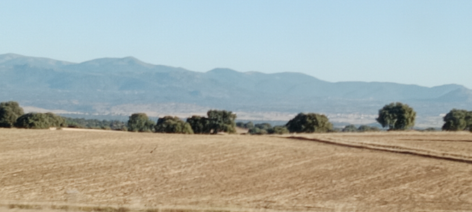 The image depicts a rural landscape with a clear blue sky above a range of hazy blue mountains in the distance. In the foreground, a field of dry, golden grass or stubble covers the ground, with visible tire tracks suggesting recent agricultural activity. A line of scattered, lush green trees and bushes runs across the midground, separating the field from the more distant landscape. The scene conveys a sense of open space and natural scenery characteristic of a rural area. The location is identified as being in Quismondo, Spain, a town known for its agricultural lands and proximity to mountainous terrain.