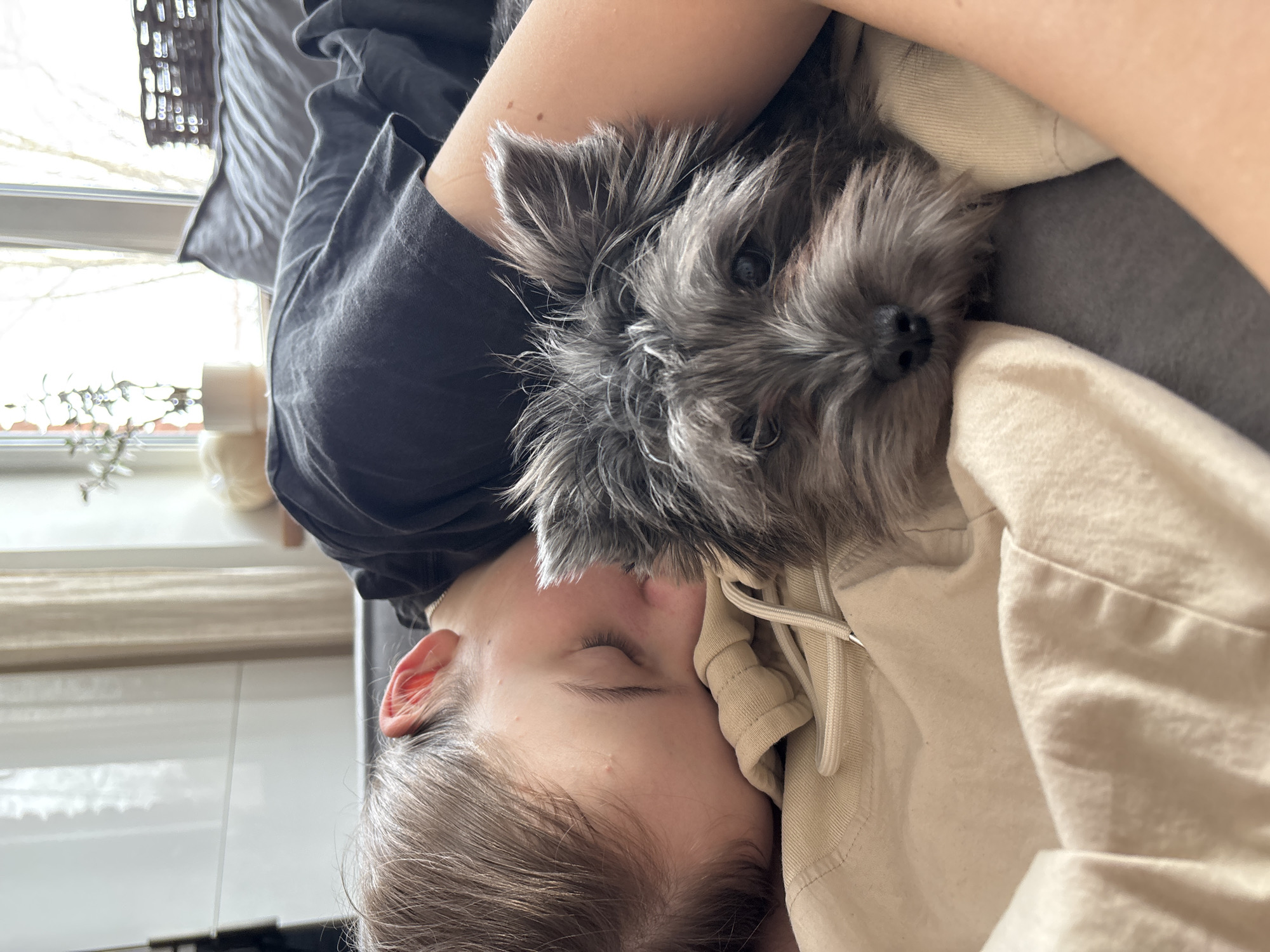The scene depicts a residential interior in Chaikovsky, Russia. A young individual with light brown hair is lying on their left side on a dark grey upholstered surface, likely a sofa or bed, with eyes closed, indicating sleep or rest. They are wearing a dark short-sleeved top and a light beige hooded garment. Adjacent to the individual's face, a small, grey, shaggy-haired dog is resting, its head positioned on the beige garment. The dog has dark eyes and a dark nose, with its eyes open, looking forward. A grey pillow is visible behind the individual's head. The background features a brightly lit window with light-colored curtains partially drawn, revealing bare tree branches outside. An obscured light-colored object, possibly a potted plant, is visible to the left of the window, and a dark woven basket-like object is present to the right.