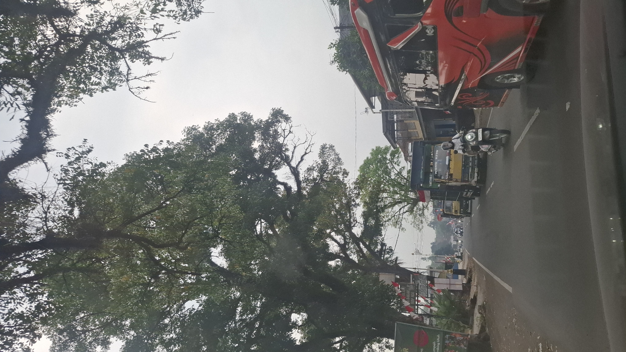 The image captures a street scene in Cisalak, Indonesia, under an overcast sky. A large tree with dense foliage dominates the left side of the frame, its branches reaching towards the sky. In the foreground, a section of a dark-colored vehicle's dashboard is visible, indicating the photo was taken from inside a car.
The road, paved and marked with white lines, is busy with traffic. Several vehicles are present, including a bright red bus with a decorative black and red swirl pattern on its side, positioned on the right side of the road. To its left, a yellow truck with the words "WONG KITO" printed on its side is visible, followed by another dark-colored truck. A person on a white scooter, wearing a helmet, is riding in the lane between the red bus and the yellow truck. Further down the road, more vehicles are seen, suggesting moderate traffic.
On the left side of the road, there are buildings and signs. One sign, partially obscured, displays text and an image. Another sign features red and white checkered flags, possibly indicating a celebration or event. The environment appears to be a commercial or residential area bordering a main road. The overall impression is a typical day in a bustling Indonesian town.