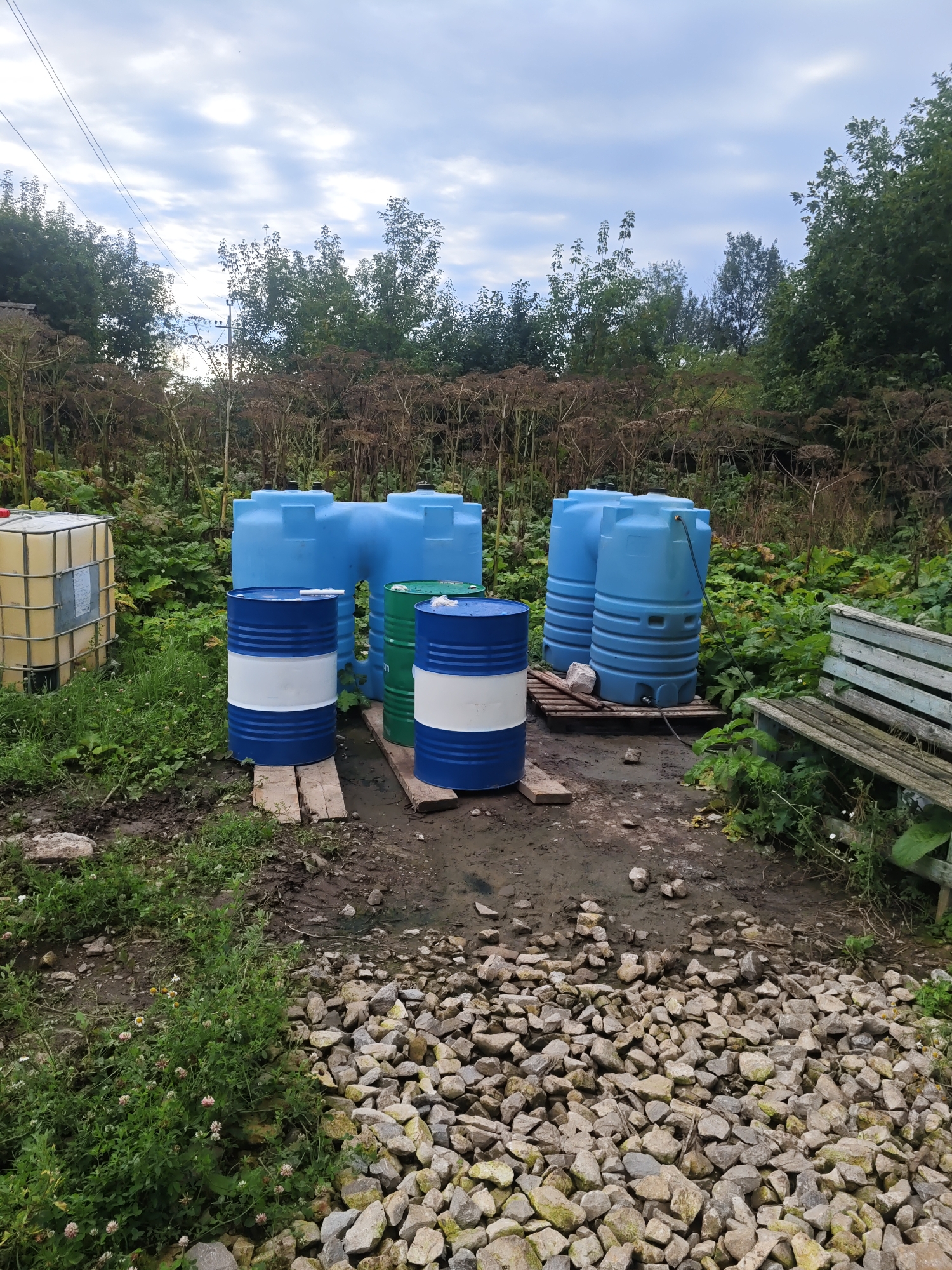 The image depicts an outdoor scene with several large blue water tanks and two blue and white barrels situated on a muddy ground. The barrels are placed on wooden planks. Behind the barrels, a large, light yellow IBC tote with a metal cage is visible on the left. A rustic wooden bench, painted light blue and weathered, is positioned on the right side of the image. The background is filled with dense, tall brown dried vegetation and lush green foliage. The sky above is cloudy. The scene appears to be in an unkempt, rural or semi-rural outdoor area, potentially a yard or storage space, in Платошино, Russia.