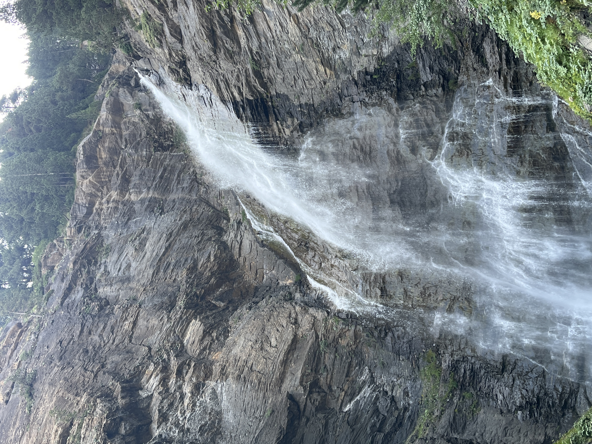 The image depicts a tall, cascading waterfall plunging down a steep, rocky mountainside. The rocks are layered and appear weathered, with streaks of water running down their surfaces. The waterfall itself is a wide curtain of white, frothy water, breaking into mist and spray as it descends. At the top of the waterfall, a line of evergreen trees is visible, suggesting a forested mountainous environment. Lush green vegetation, including some smaller bushes and plants, grows at the base of the mountain and on ledges. The sky above is overcast, casting a soft, diffused light on the scene. The location is identified as a waterfall in the city of Benasque, Spain. There are no people or animals visible in the image. The scene is natural and wild, emphasizing the power and beauty of the waterfall and its mountainous surroundings.