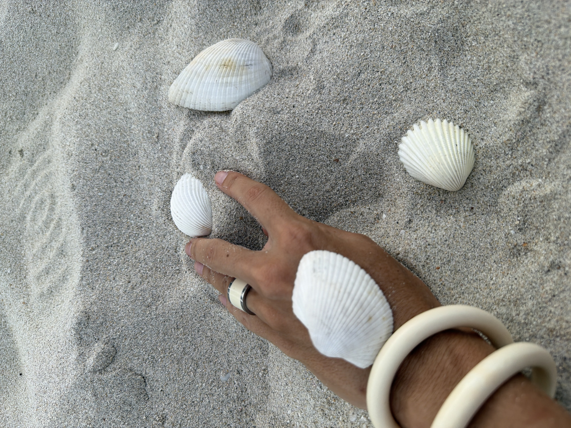 A person's hand, adorned with a ring and a bracelet, is positioned amidst a collection of seashells scattered on a sandy beach. The hand is gently touching a scallop shell that rests on the palm. The scene takes place in Baan Chaweng, Thailand, a location known for its picturesque beaches. The sand is fine-grained and light in color, with subtle ripples suggesting the ebb and flow of the tide. Several other shells, varying in size and shape, are visible around the hand, some partially buried in the sand. The overall impression is one of quiet contemplation and appreciation for the natural beauty of the coastal environment.